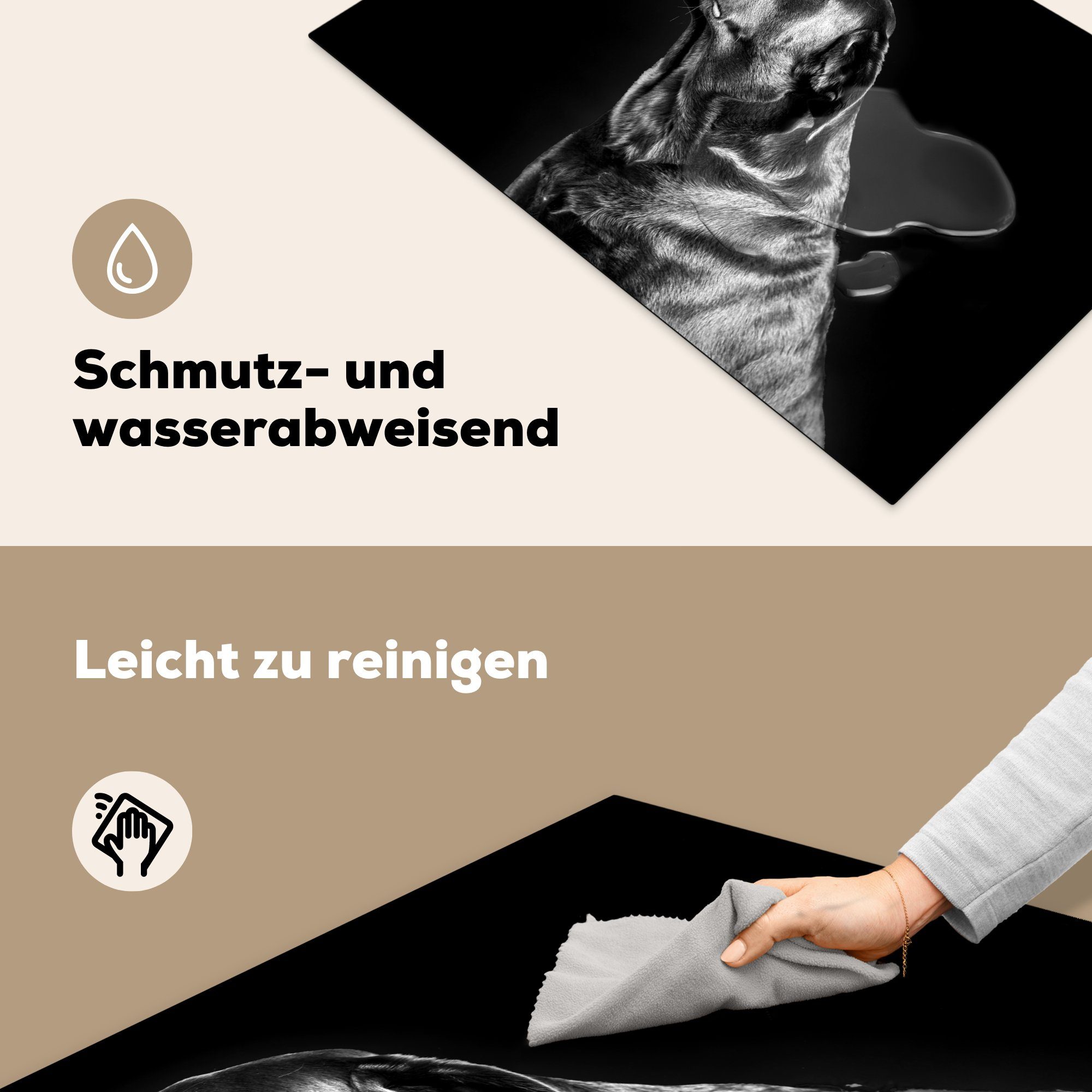 MuchoWow Herdblende-/Abdeckplatte Brauner Labrador Ceranfeldabdeckung Induktionskochfeld und schwarz die Schutz auf Vinyl, küche, - cm, schwarzem (1 Hintergrund 81x52 tlg), für weiß