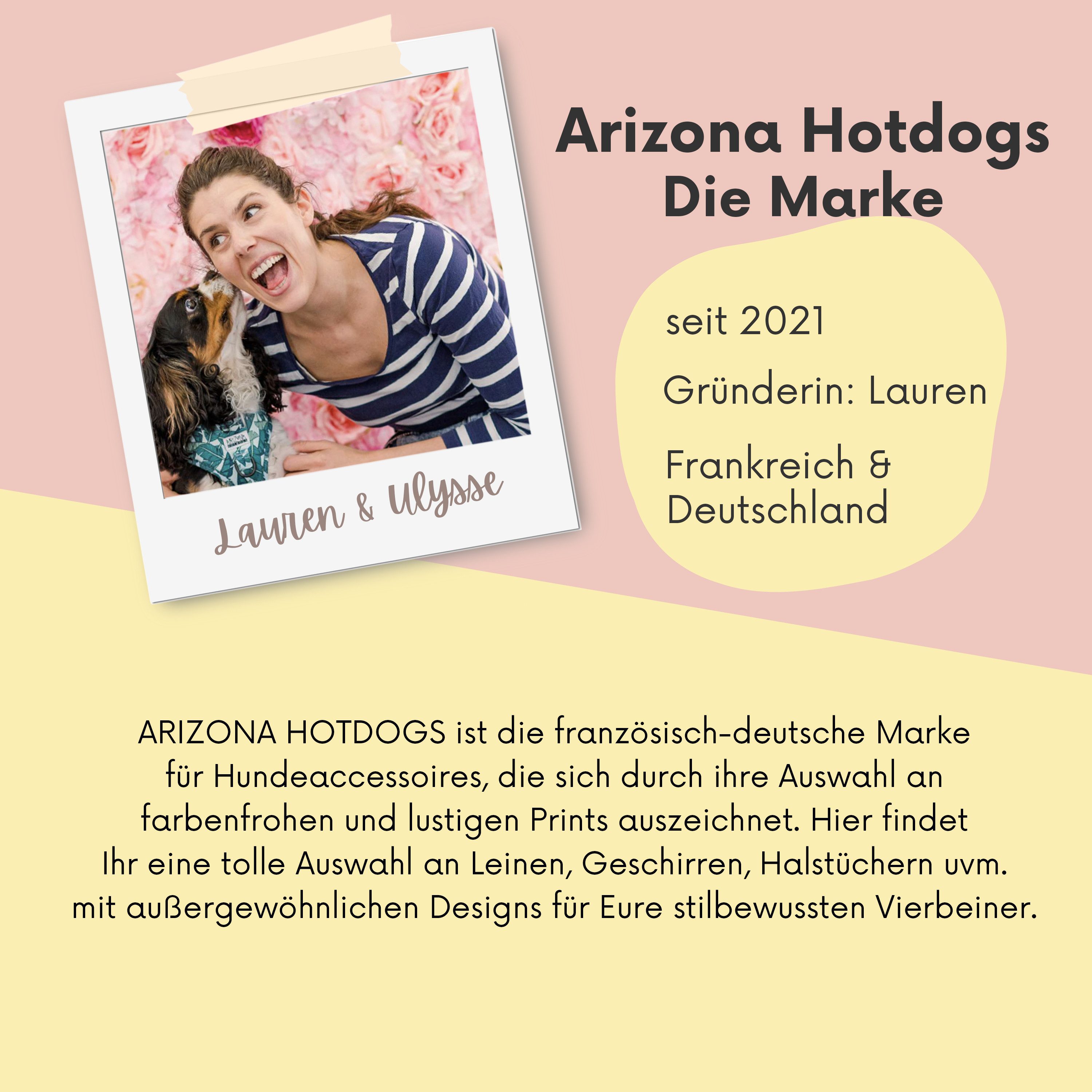 ARIZONA HOT DOGS Hunde-Halsband Nylon & Neopren, Arizona Hotdogs Lemon Gelb, L