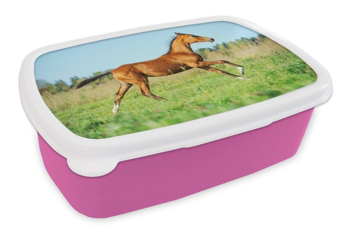 Kunststoff, Lunchbox Pferd Brotbox Braun, Kunststoff Brotdose MuchoWow - Gras (2-tlg), Kinder, rosa für Snackbox, Mädchen, Erwachsene, -