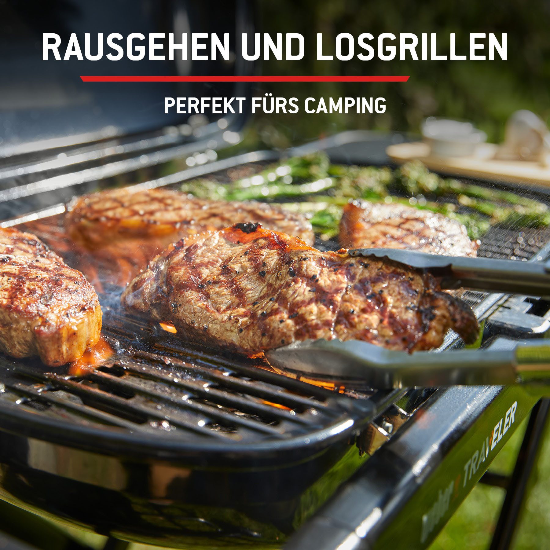 Weber Camping-Gasgrill Traveler