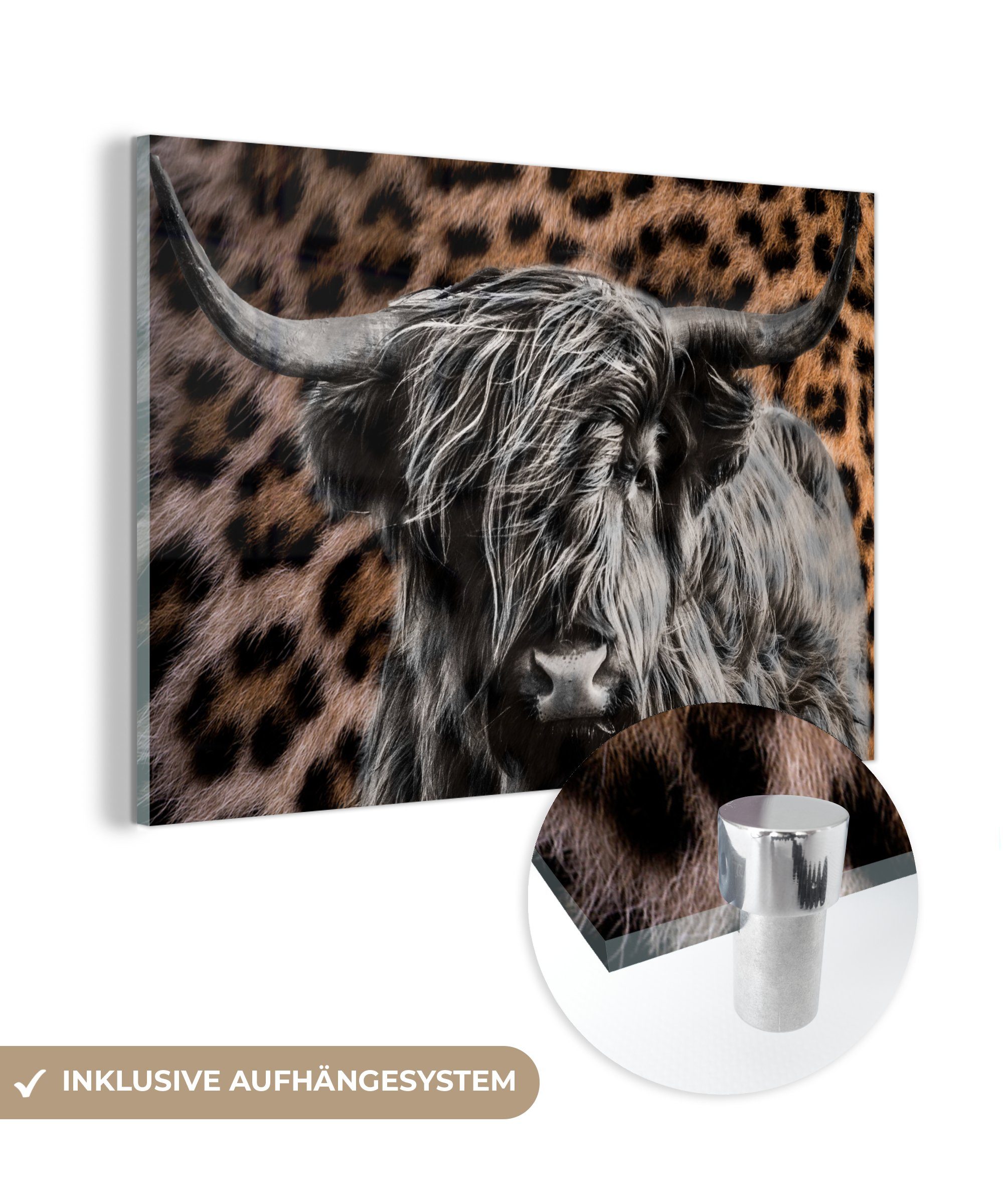 MuchoWow Acrylglasbild Schottischer Highlander - Pantherdruck - Tiere, (1 St), Glasbilder - Bilder auf Glas Wandbild - Foto auf Glas - Wanddekoration