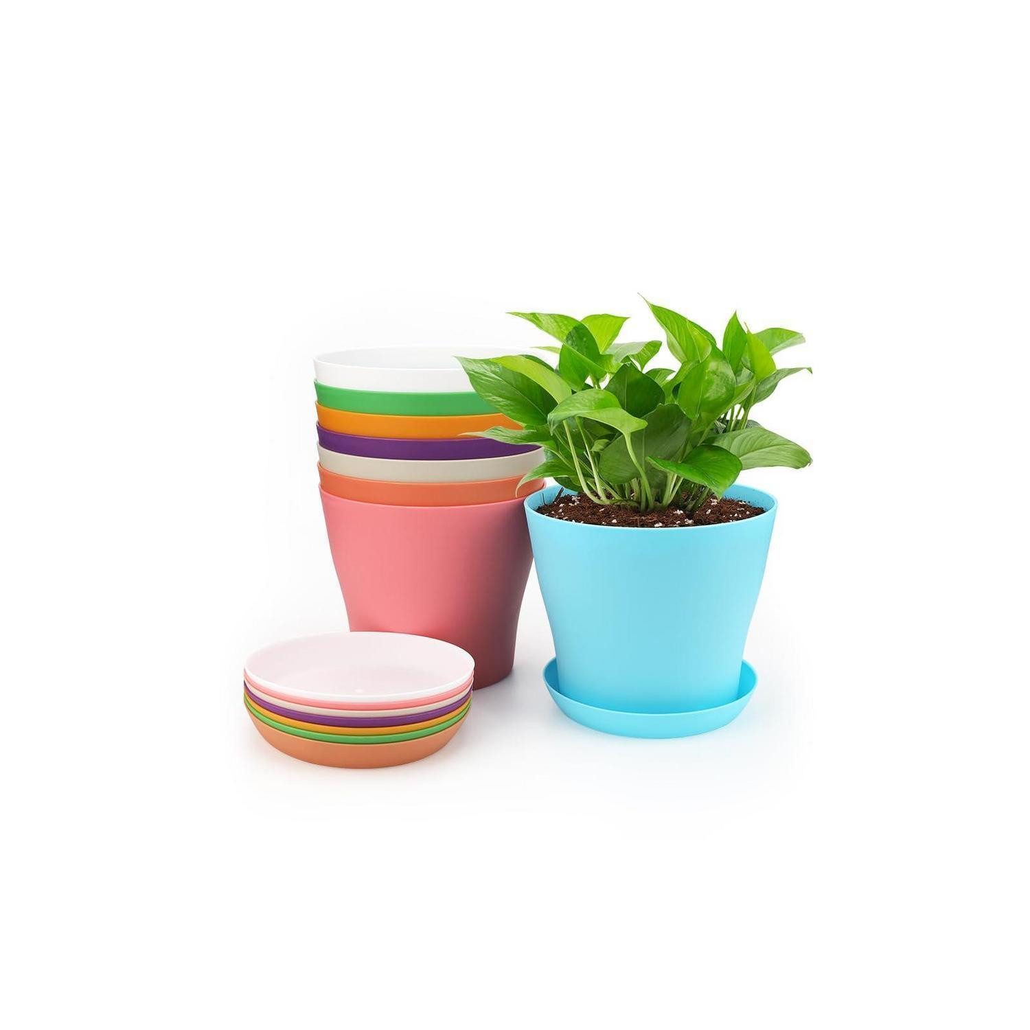 LuxusKollektion Blumentopf Pflanztopf Kunststoff Set 8 Stück Untersetzer Kakteen Mehrfarbig 10 cm (8 St)