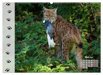 CALVENDO Wandkalender Tierspuren in der Natur (Premium, hochwertiger DIN A2 Wandkalender 2023, Kunstdruck in Hochglanz)