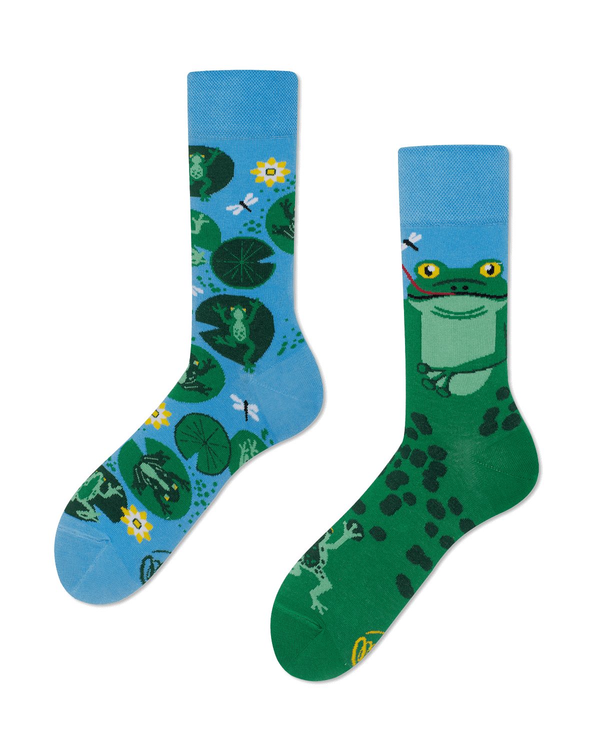 FroggyFrog