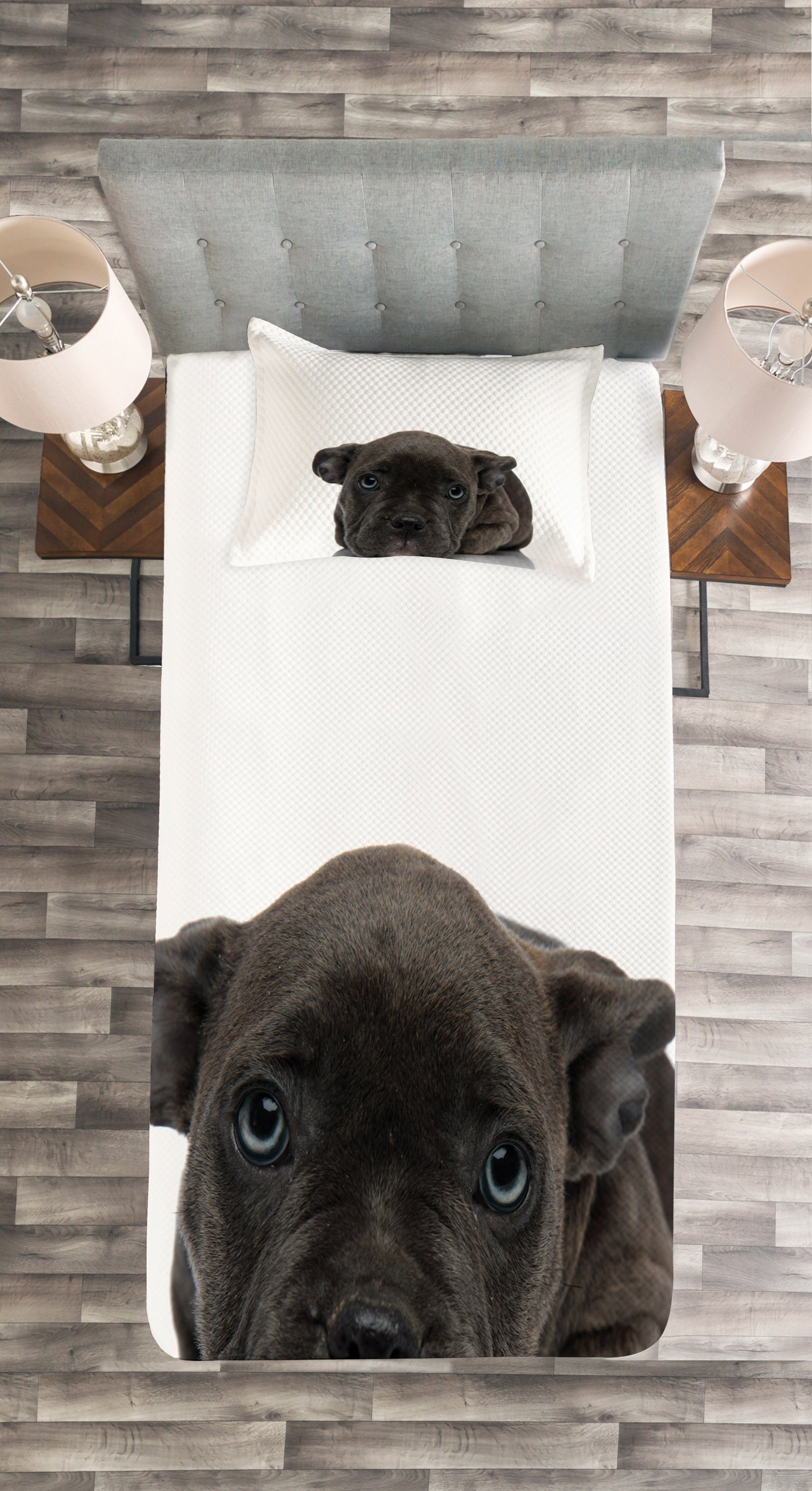 Tagesdecke Set mit Kissenbezügen Amerikanisches Hundepfoten Abakuhaus, Waschbar, Bully Resting