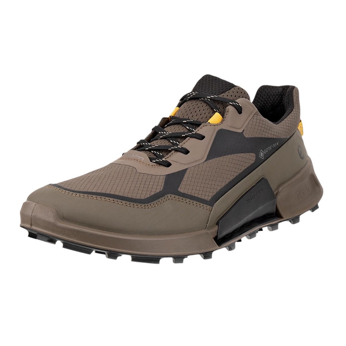 Ecco Biom 2.1 X Mountain GTX günstig online kaufen