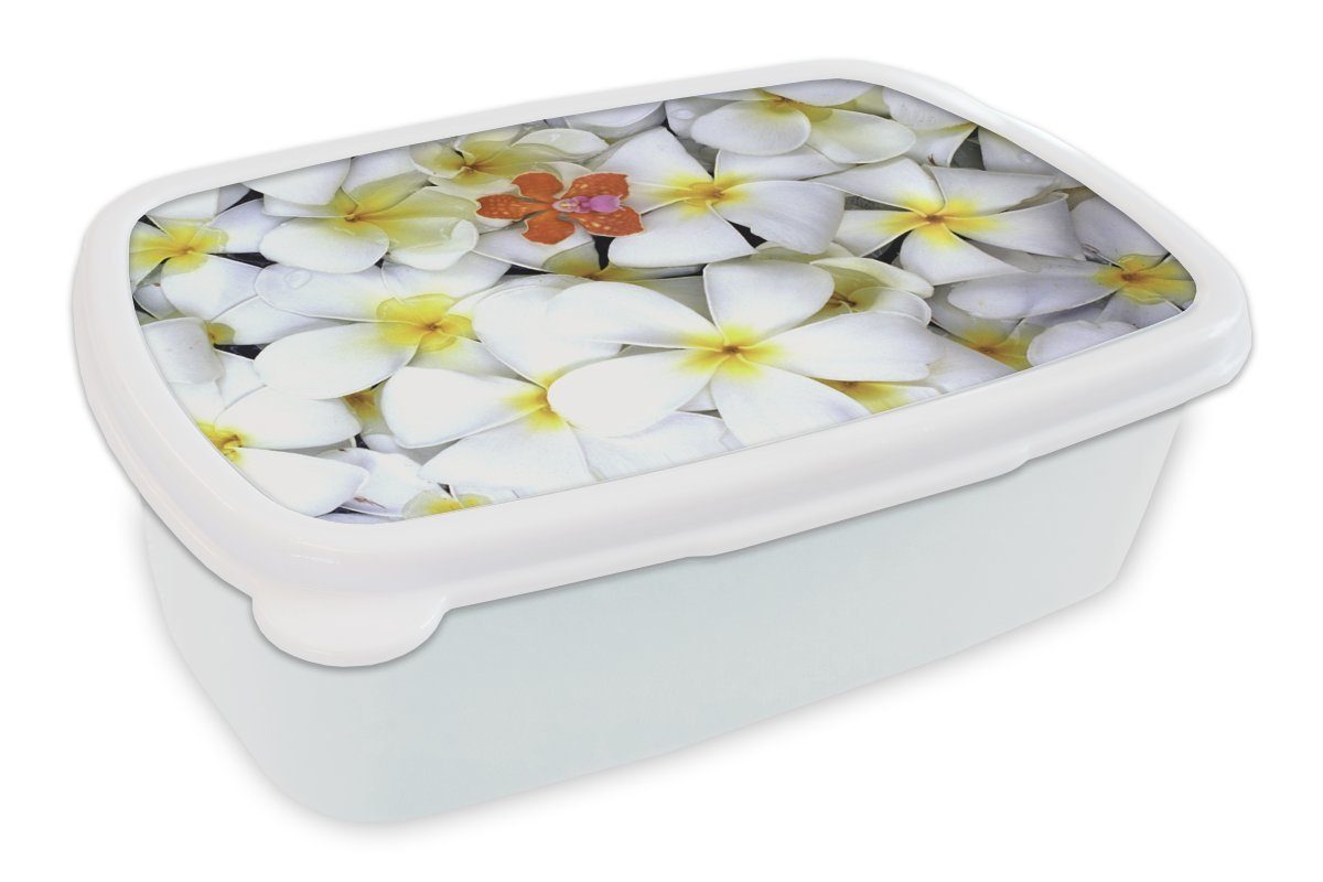 MuchoWow Lunchbox Muster aus gelben und weißen Plumeria-Blüten, Kunststoff, (2-tlg), Brotbox für Kinder und Erwachsene, Brotdose, für Jungs und Mädchen