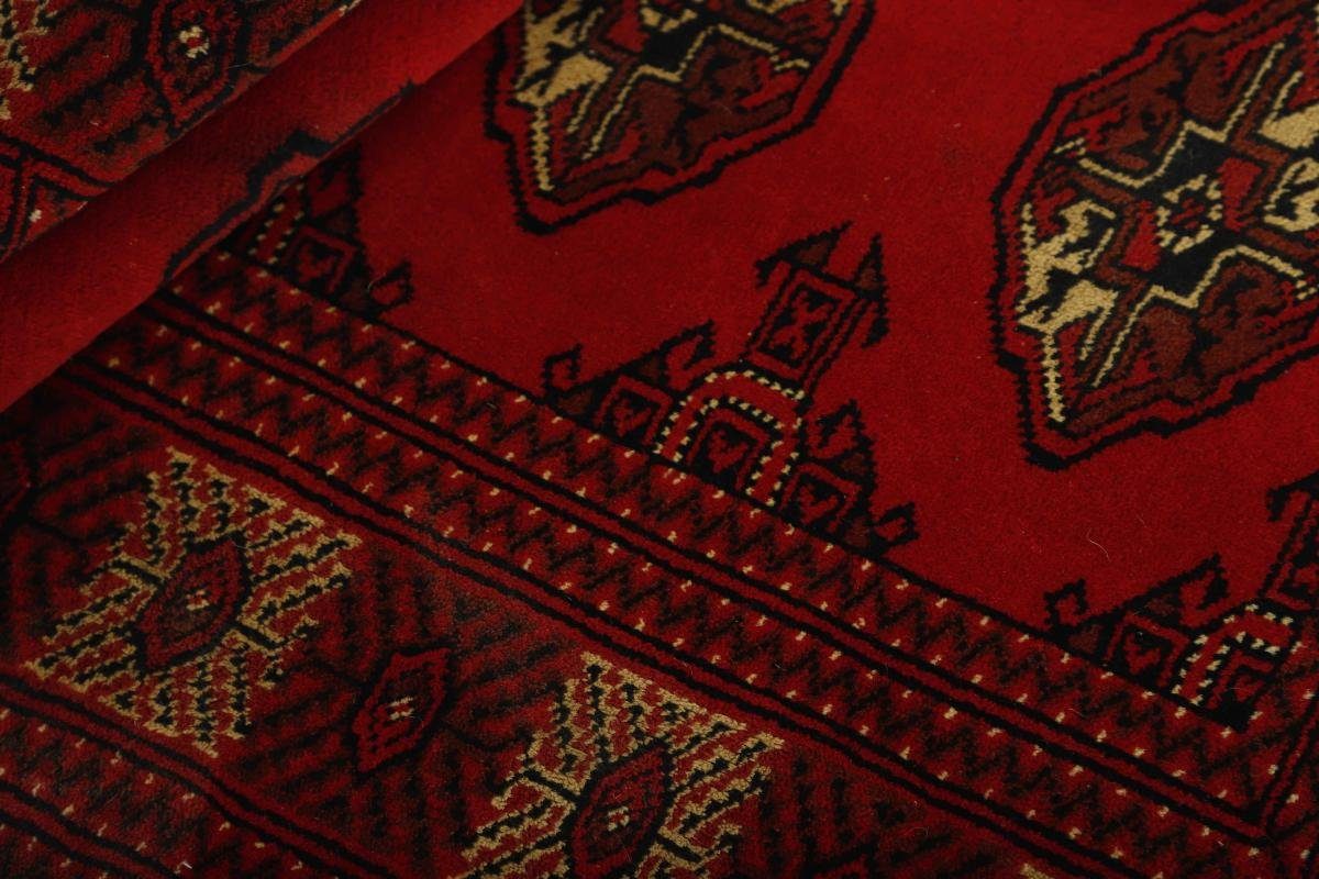 Orientteppich Turkaman 85x147 Handgeknüpfter Orientteppich Nain Trading, mm 6 Perserteppich, rechteckig, Höhe: 