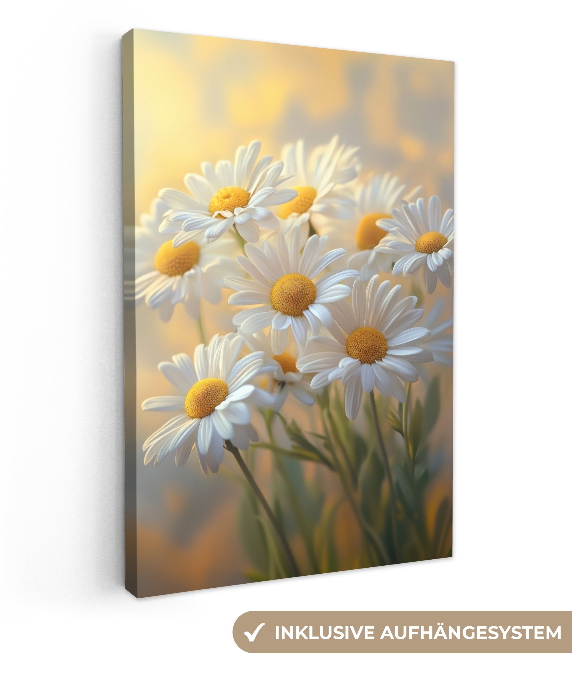 OneMillionCanvasses® Leinwandbild Gänseblümchen - Weiß - Sonnenlicht, Fotod günstig online kaufen