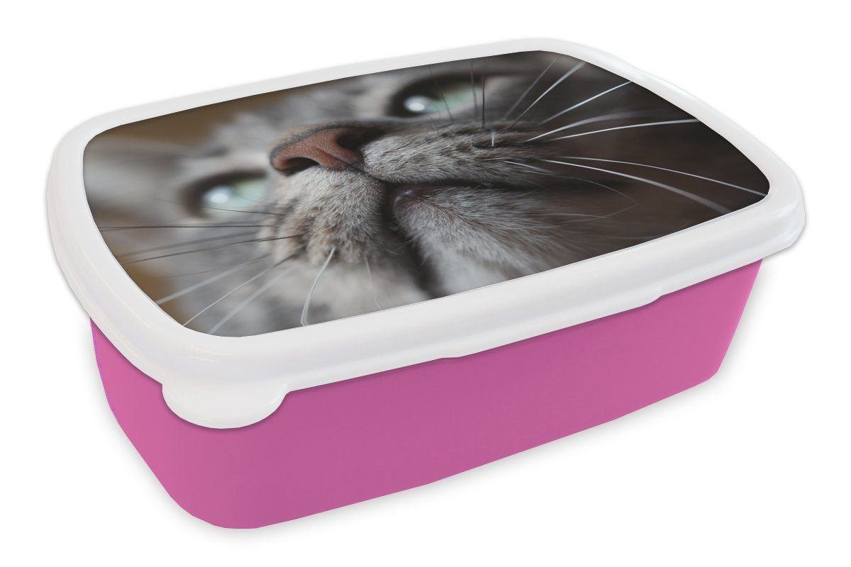 MuchoWow Lunchbox Katze - Nase - Schnurrhaare, Kunststoff, (2-tlg), Brotbox für Erwachsene, Brotdose Kinder, Snackbox, Mädchen, Kunststoff rosa