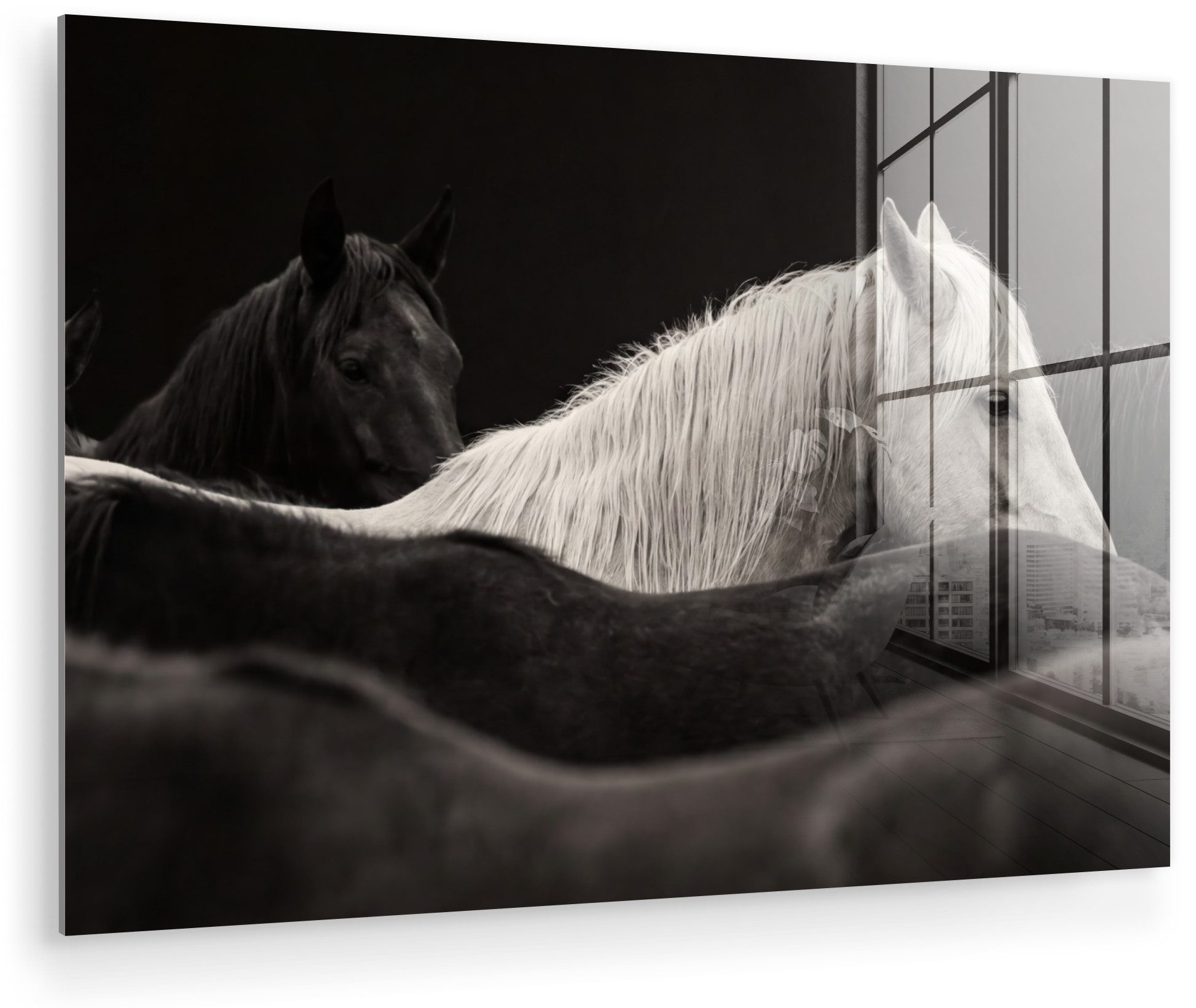 MuchoWow Acrylglasbild Pferde - Schwarz - Weiß - Herde, Inkl. Aufhängung, Glasbilder Wohnzimmer, Schlafzimmer, Flur & Esszimmer, 30x20 cm