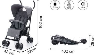 Fillikid Kinder-Buggy Fill Sprinter, grau melange