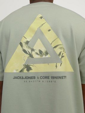 Jack & Jones T-Shirt JCOTRIANGLE SUMMER TEE SS CREW NECK SN