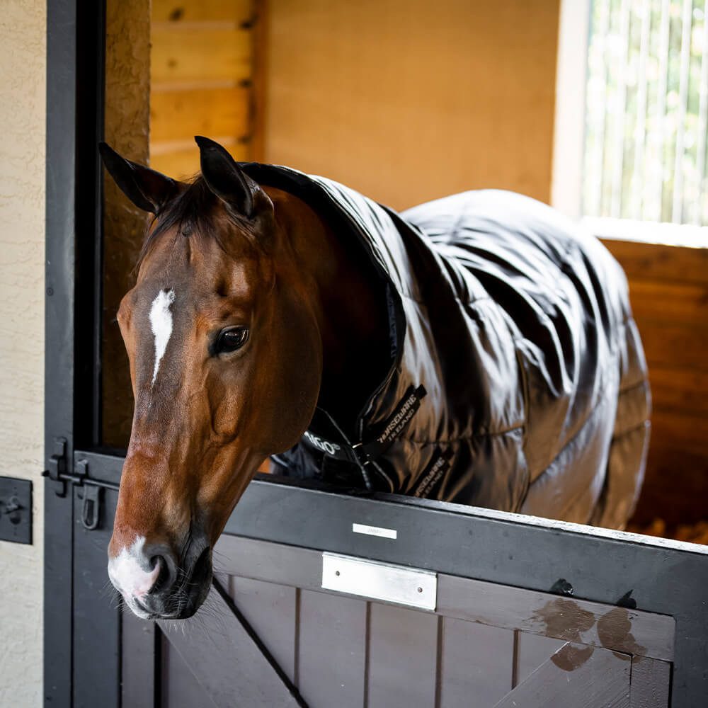 Pferde-Stalldecke Horseware Amigo Ripstop Insulator Plus Stable 200g