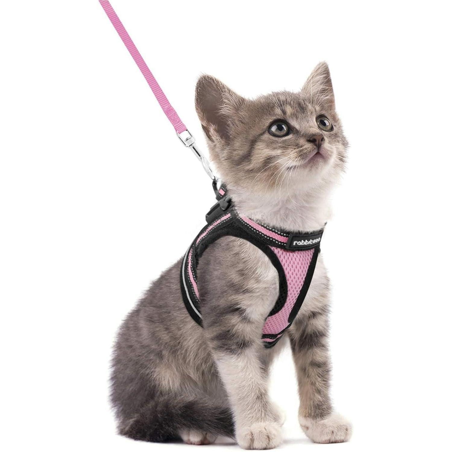 LuxusKollektion Katzen-Halsband Katzengeschirr Katzenleine Ausbruchsicher S (1er Pack) Rosa