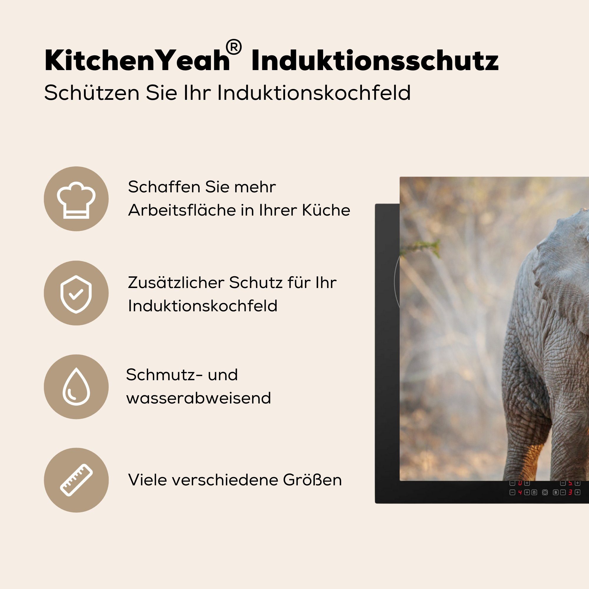 für Vinyl, cm, - küche, Kuscheltier - 81x52 MuchoWow (1 Afrika, tlg), Herdblende-/Abdeckplatte Ceranfeldabdeckung die Induktionskochfeld Schutz Elefanten