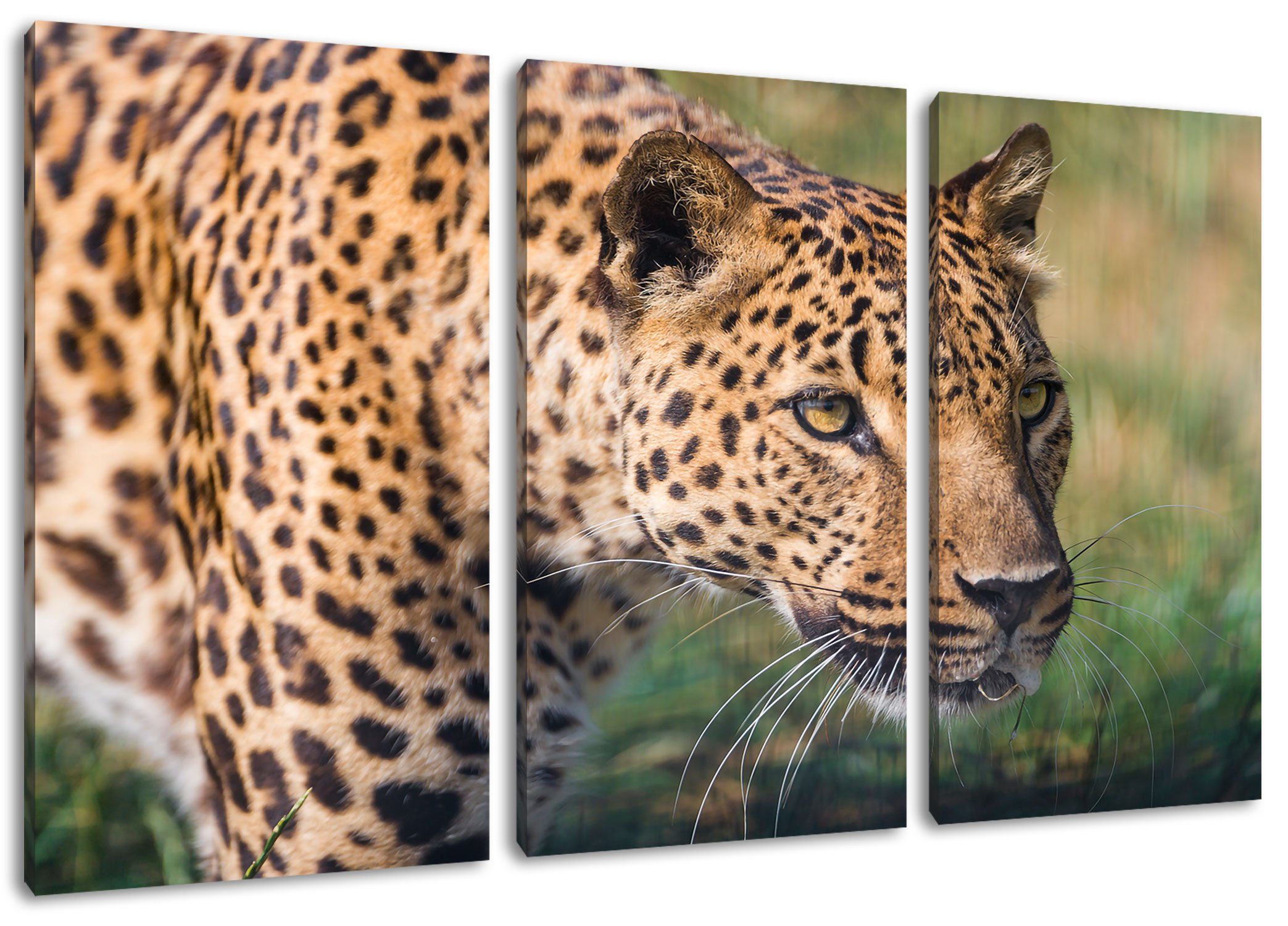 (120x80cm) Pixxprint Zackenaufhänger schleichender Leinwandbild bespannt, 3Teiler Leopard inkl. Leinwandbild schleichender (1 fertig Leopard, St),