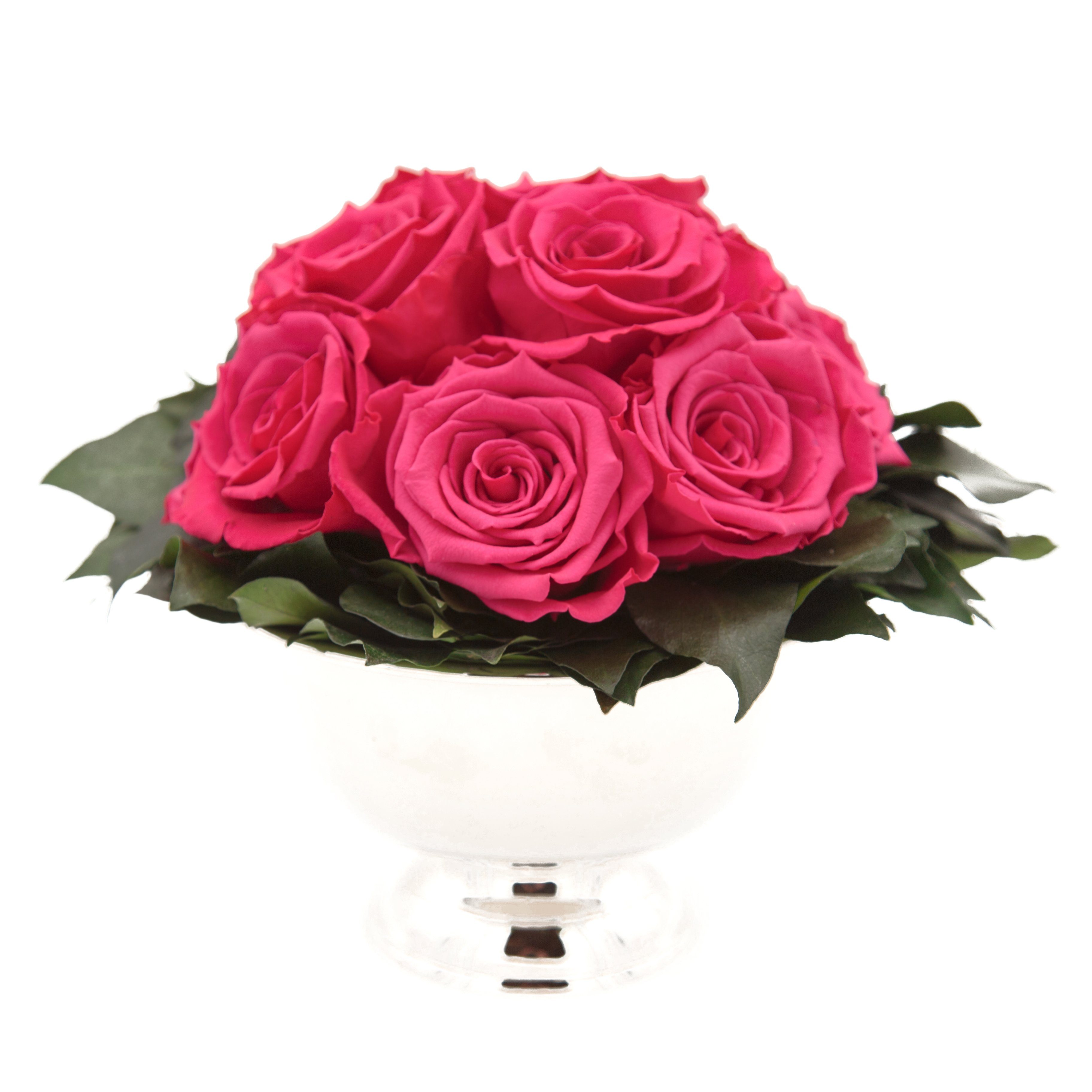 Kunstblume 11 Infinity Rosen in Blumenschale Blumenstrauß Rosenbox Rose, ROSEMARIE SCHULZ Heidelberg, Höhe 18 cm, Echte Blumen 3 Jahre haltbar I Geschenk für Frauen Pink