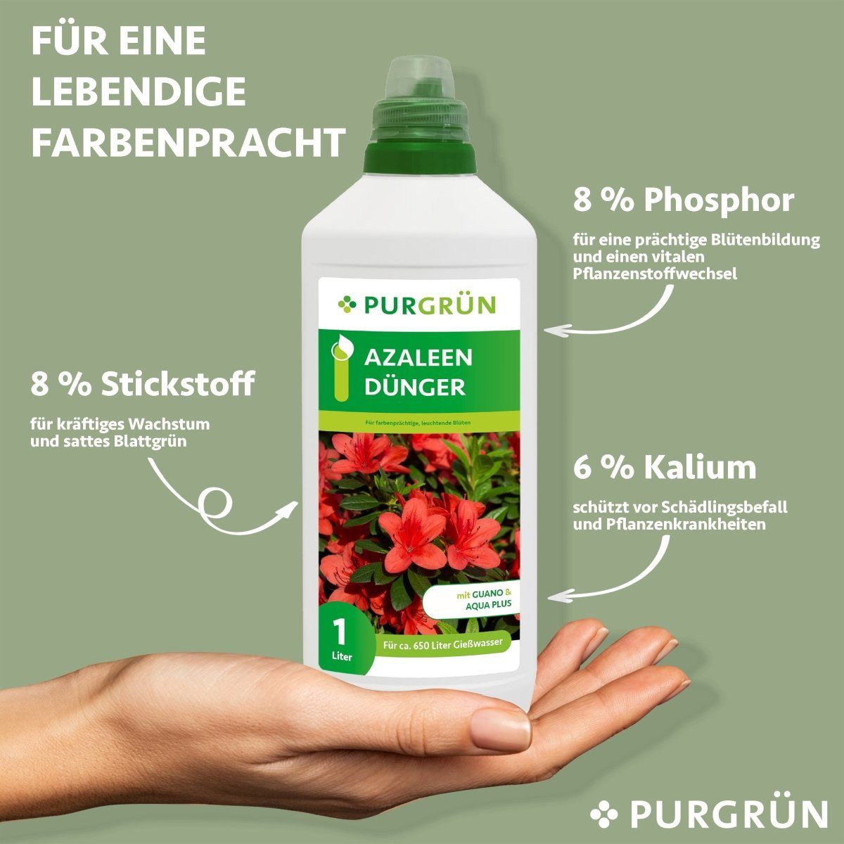 Azaleen-Dünger 1 Liter, Flüssigdünger NPK 8+8+6 | Mit Guano & Spurennährstoffen | Für üppige Blüten & Gesundes Wachstum