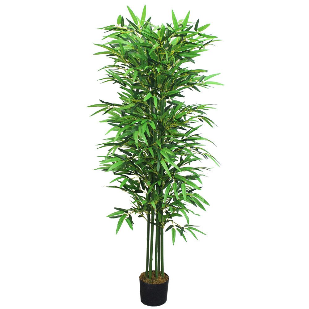 Detailansicht des Produkts 0