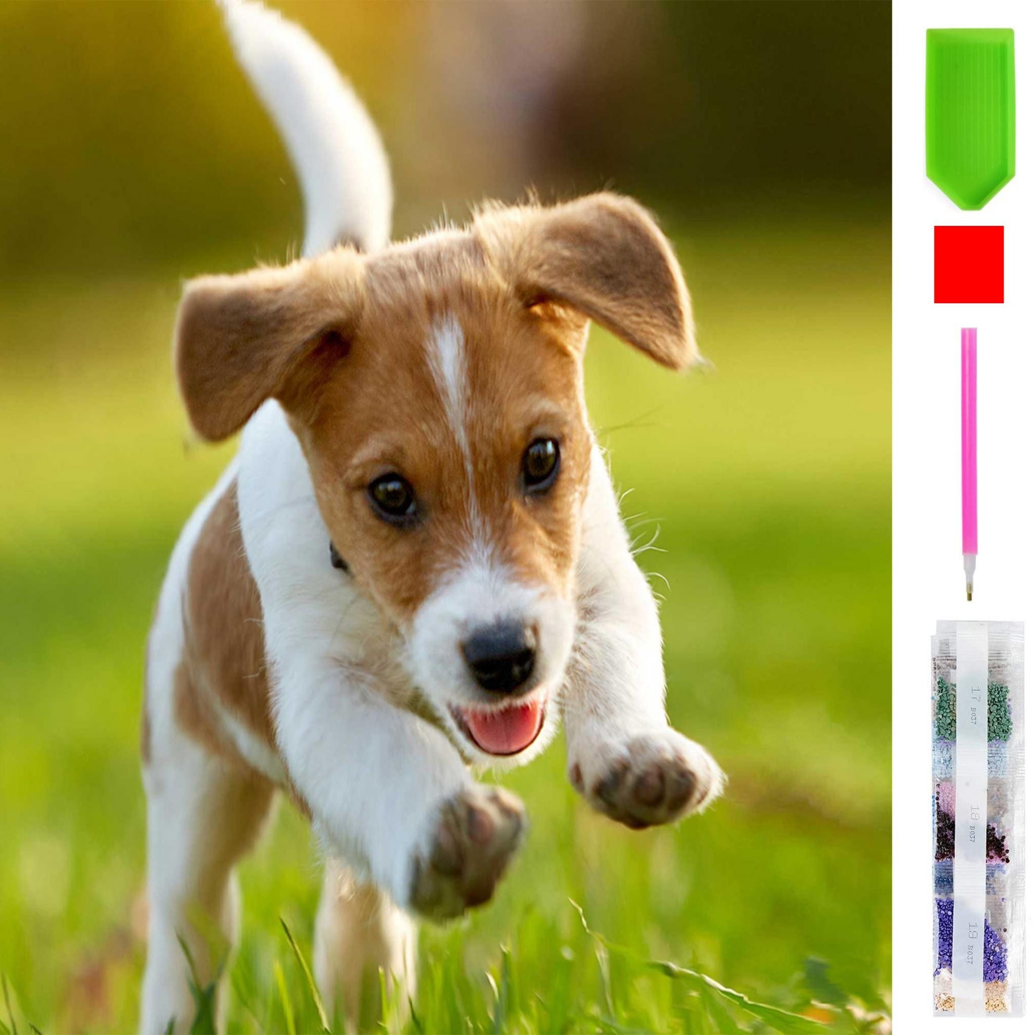 LA CUTE Malen nach Zahlen 5d Diamond Painting Happy Dog Malen nach Zahlen 1 günstig online kaufen