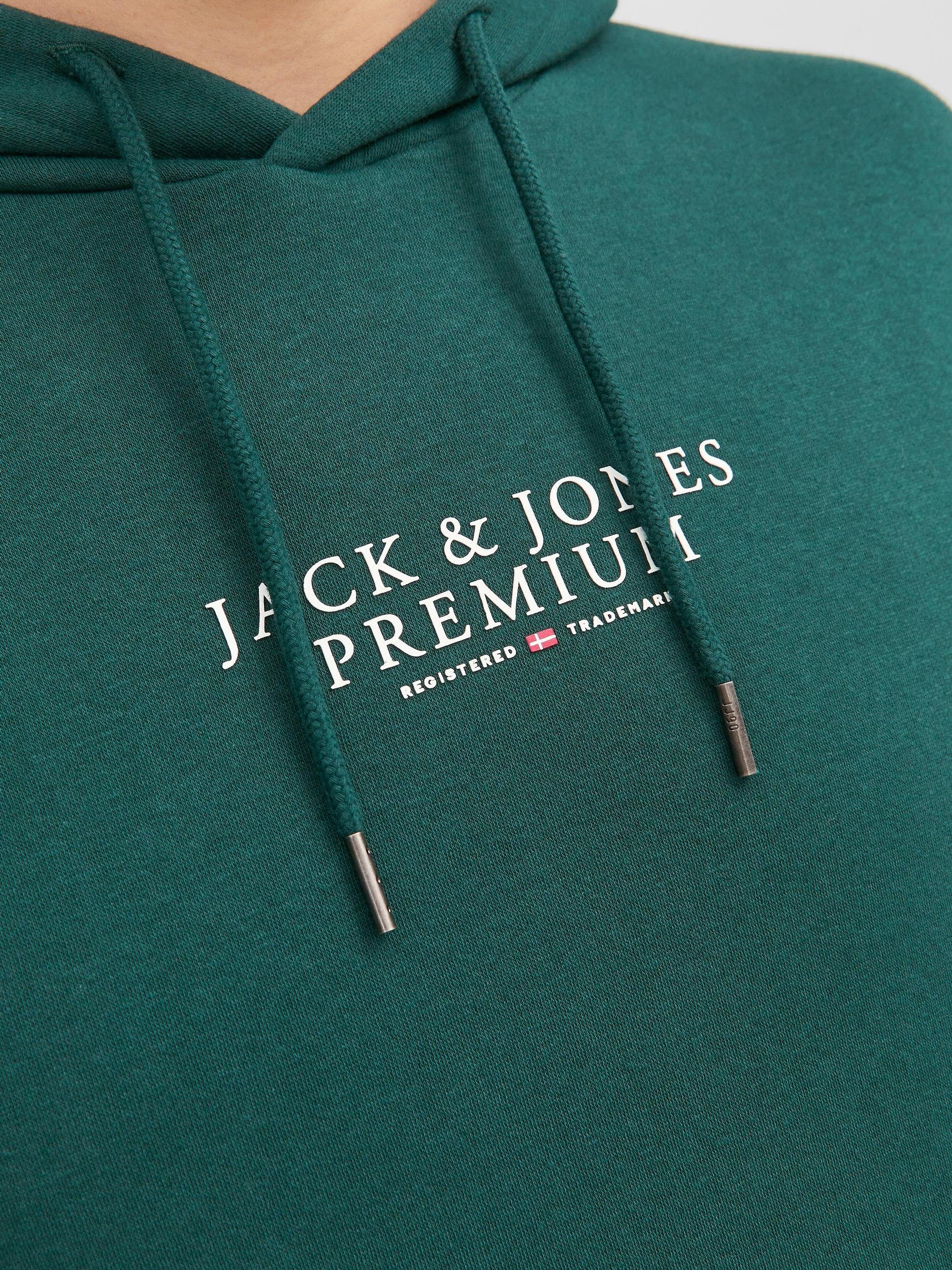 Jack & Jones Kapuzensweatshirt JPRBLUARCHIE Ponderosa NOOS Pine HOOD SWEAT
