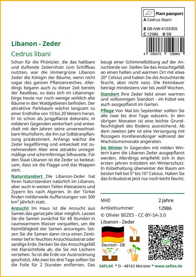 Thumbnail - SAFLAX Blumensamen SAFLAX - Samen - Libanon - Zeder
