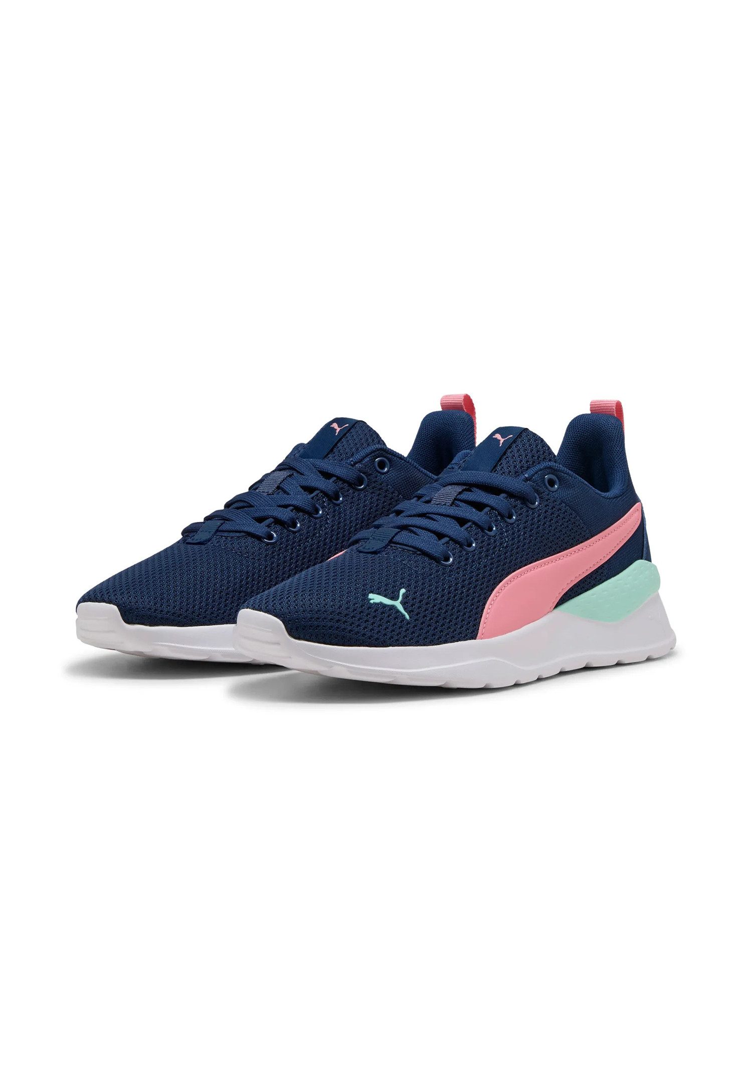 Persian Blue-Pinkscape-Mint