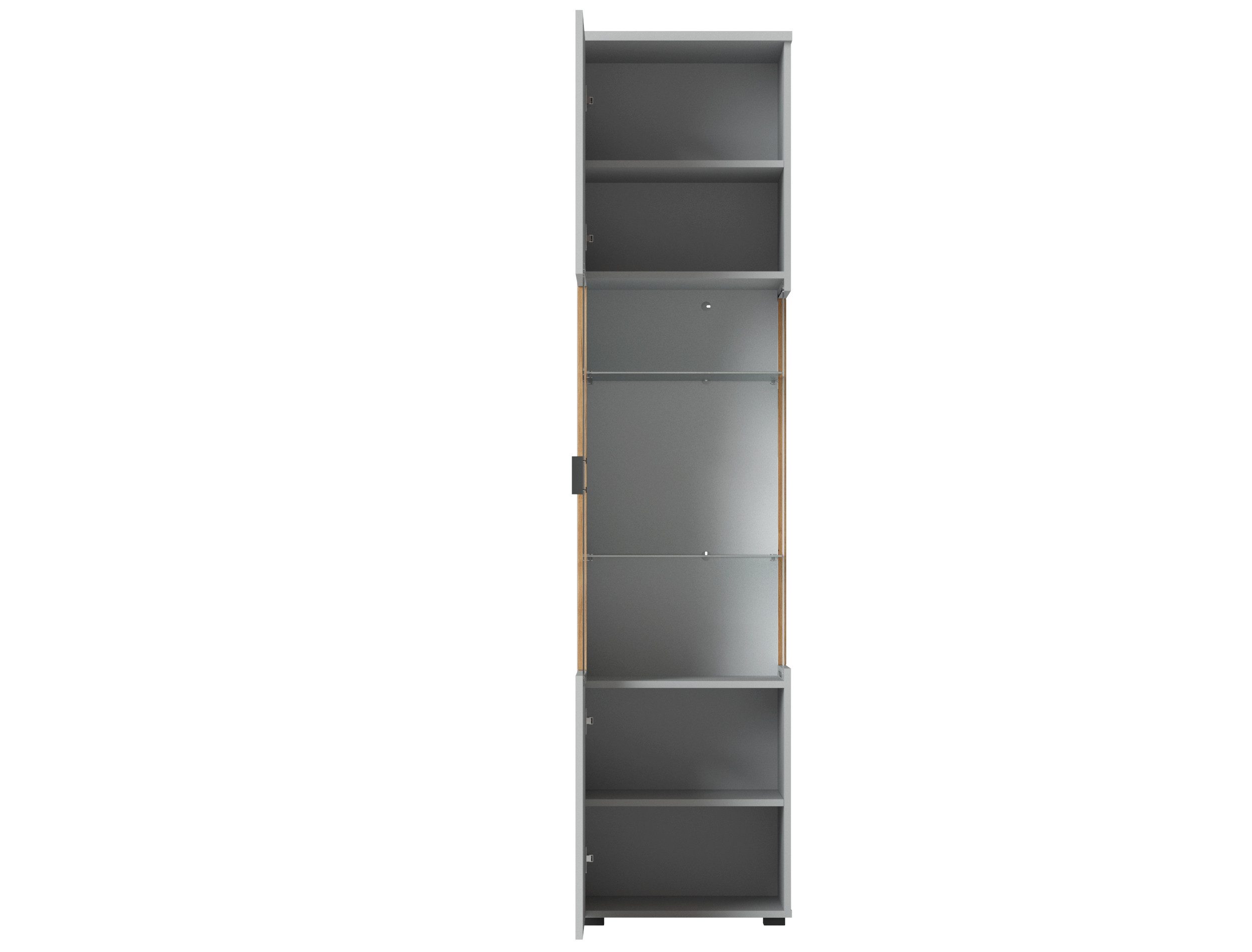 freiraum Glasvitrine ALVERNO in Asche/Coast Evoke Eiche Lamelle-Dekor - 50x208x40 (BxHxT)