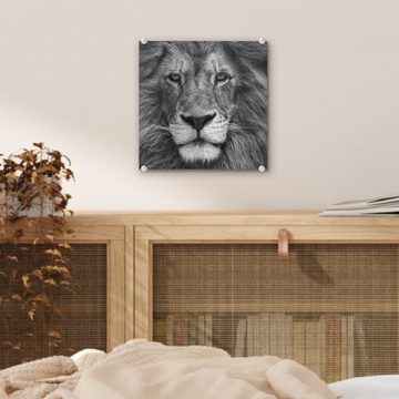 MuchoWow Acrylglasbild Tierprofil Persischer Löwe in schwarz und weiß, (1 St), Glasbilder - Bilder auf Glas Wandbild - Foto auf Glas - Wanddekoration