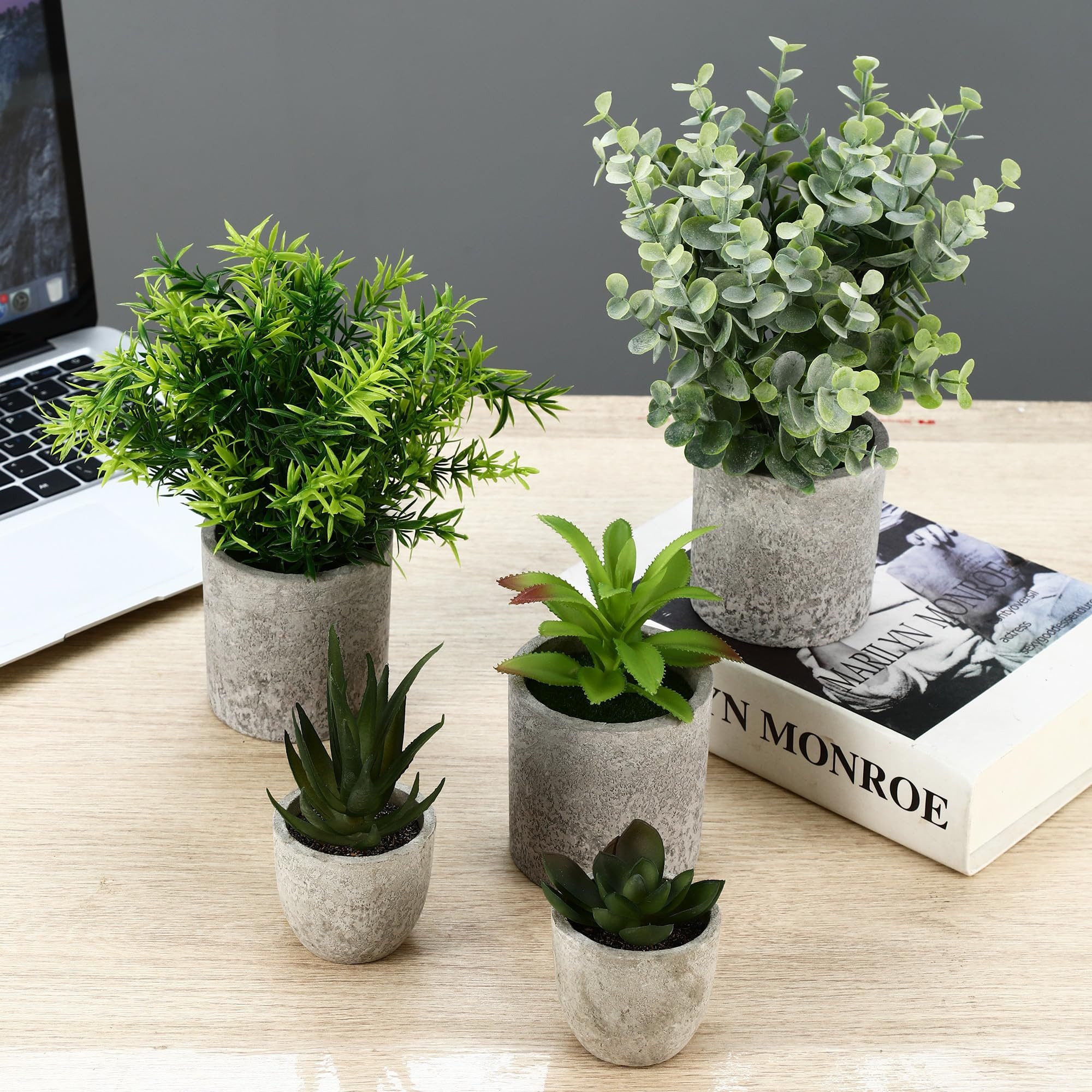 Kunstpflanze 5er-Set Mini Kunstpflanzen Künstliche Pflanzen Kunstpflanzen Büro Deko Deko Wohnzimmer, Künstliche Pflanzen, Zimmerpflanzen, Schlafzimmer Deko, Bür – Bild 4 von 5