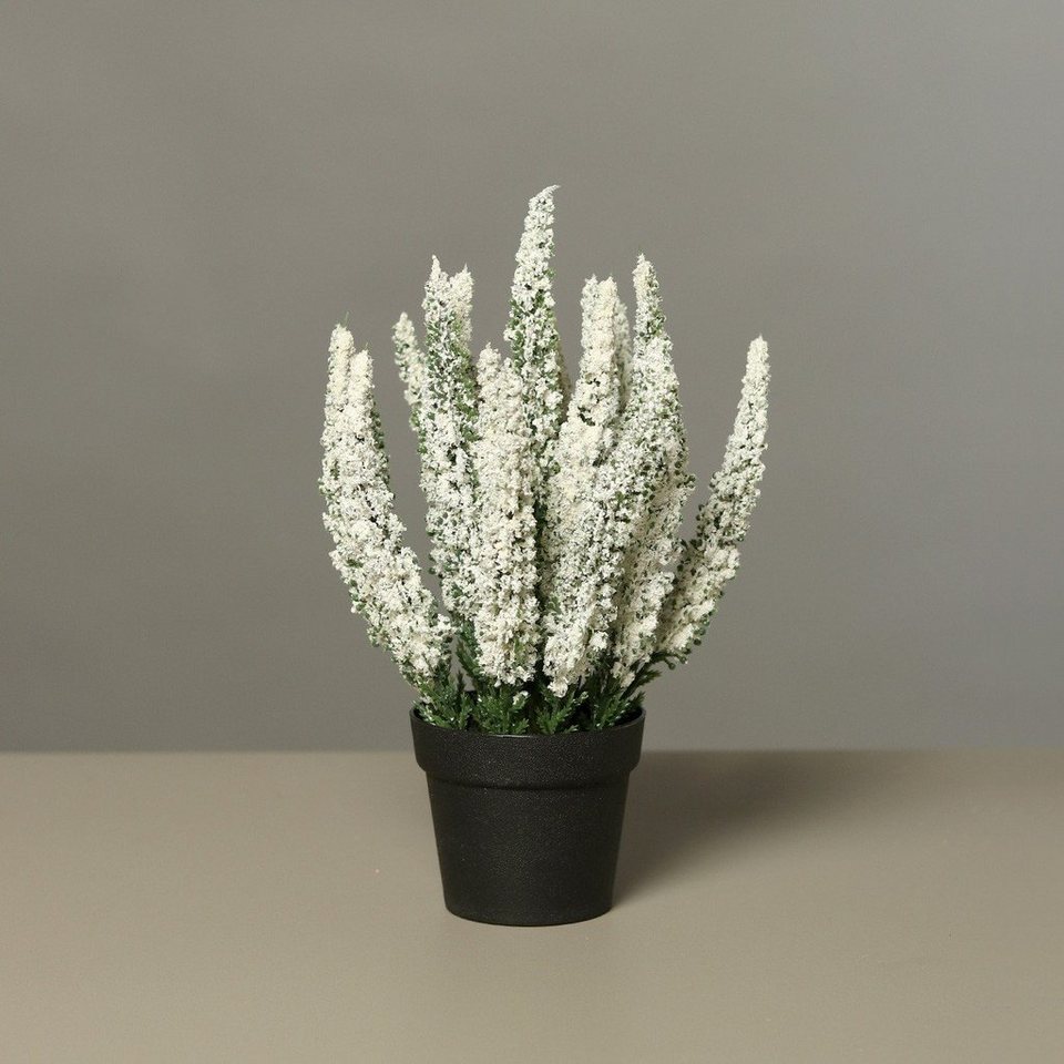 Kunstpflanze, DPI, Höhe 27 cm, Weiß H:27cm D:8.5cm Kunststoff, Maße: Höhe  27cm, Topfdurchmesser 8,5cm