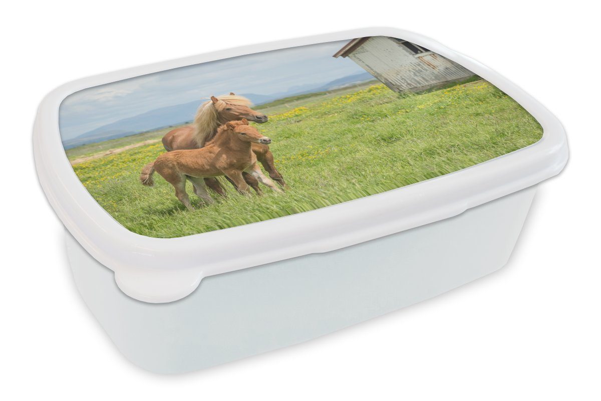 MuchoWow Lunchbox Pferde - Fohlen - Gebirge, Kunststoff, (2-tlg), Brotbox für Kinder und Erwachsene, Brotdose, für Jungs und Mädchen weiß