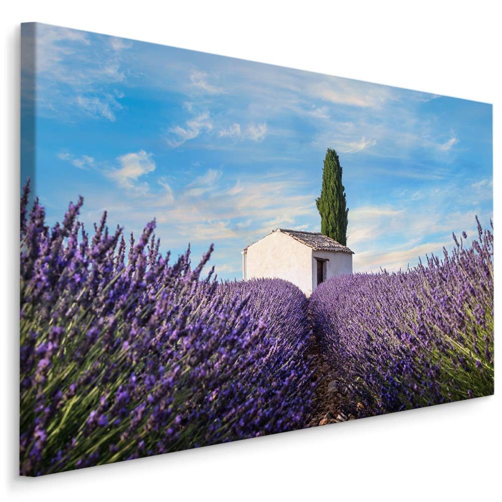 Muralo Leinwandbild Landschaft – Leinwandbild Wandbild Kunstdruck Wohnzimmer, Gewässer (1 St), Blumen – Lavendel – Natur, 100 x 70 cm, aufhängefertig