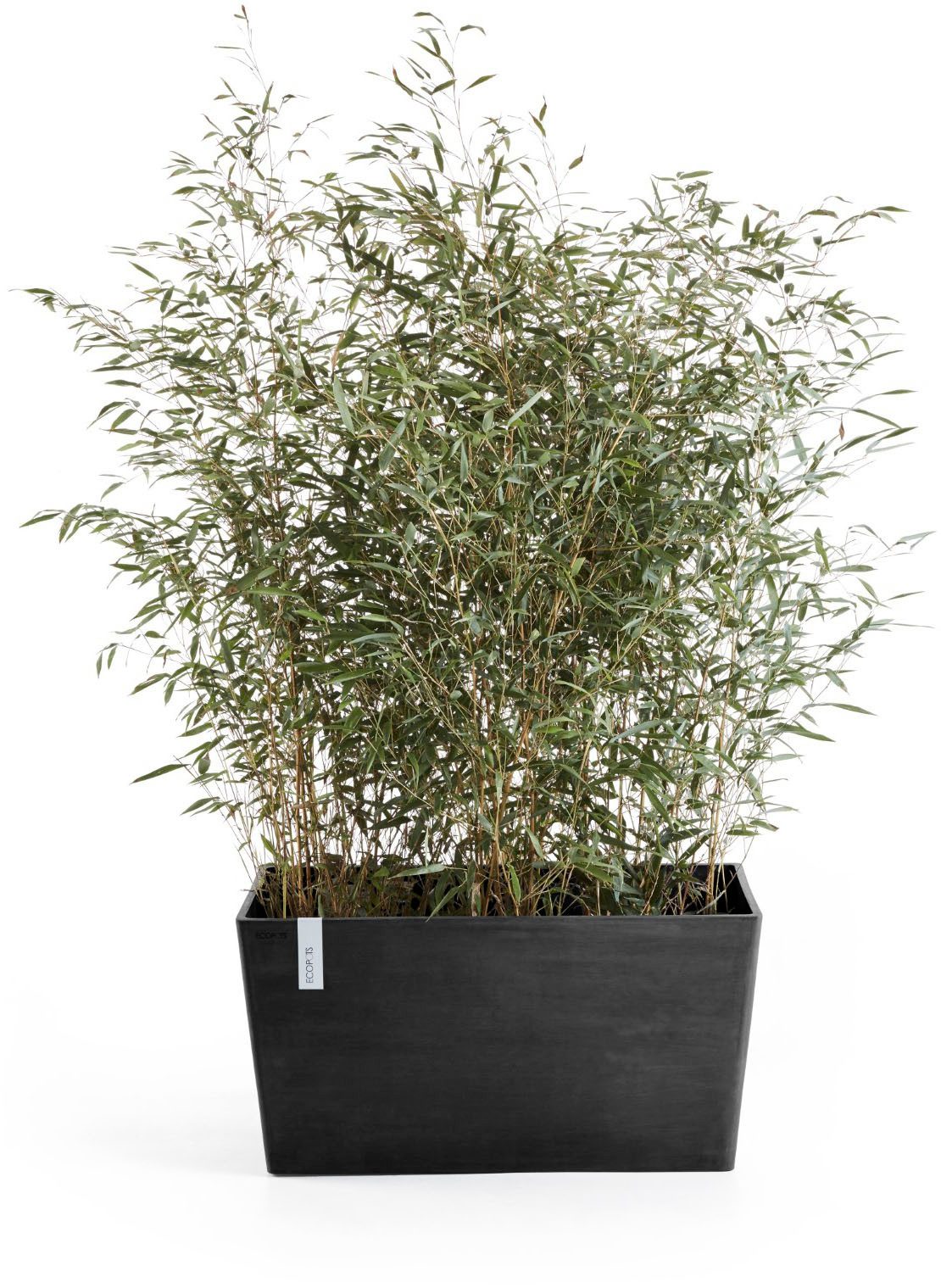 ECOPOTS Blumentopf Paris, BxTxH: 99x46x50 cm