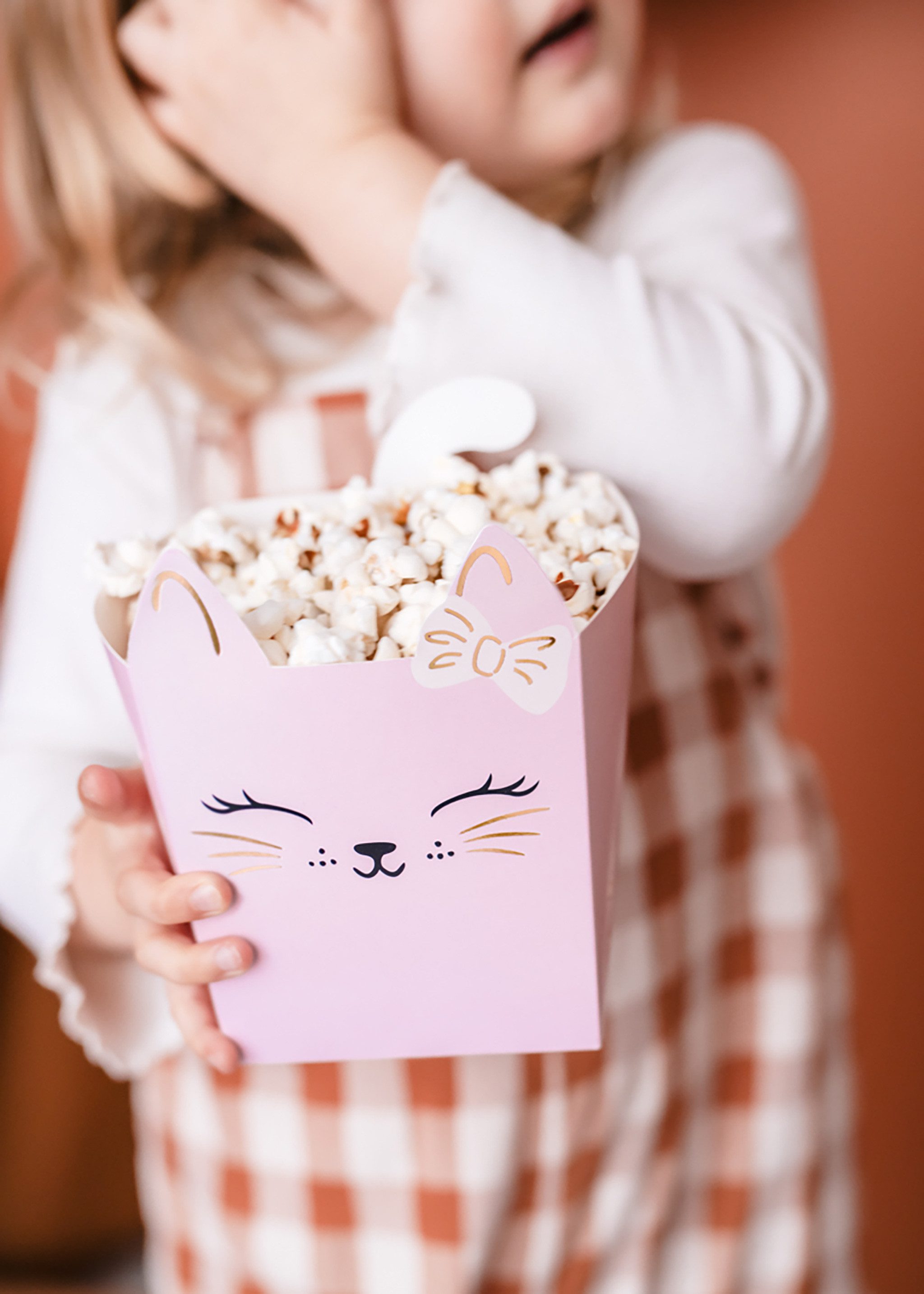 partydeco Einweggeschirr-Set, Papier, Snackbox Kinder 14x10cm Katzen Motiv 3er Set Hellrosa / Rosa