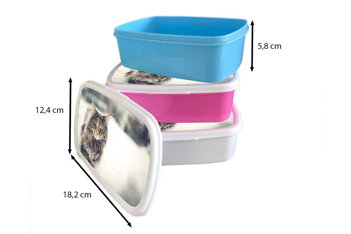Tiere, Mädchen, Brotbox - für Katze - Snackbox, (2-tlg), Schnee Kinder, Kunststoff, MuchoWow Erwachsene, Brotdose rosa Kunststoff Lunchbox