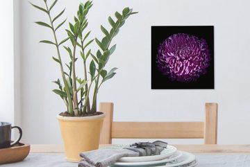 OneMillionCanvasses® Leinwandbild Die Blätter einer lila Blume auf schwarzem Hintergrund, (1 St), Leinwand Bilder für Wohnzimmer Schlafzimmer