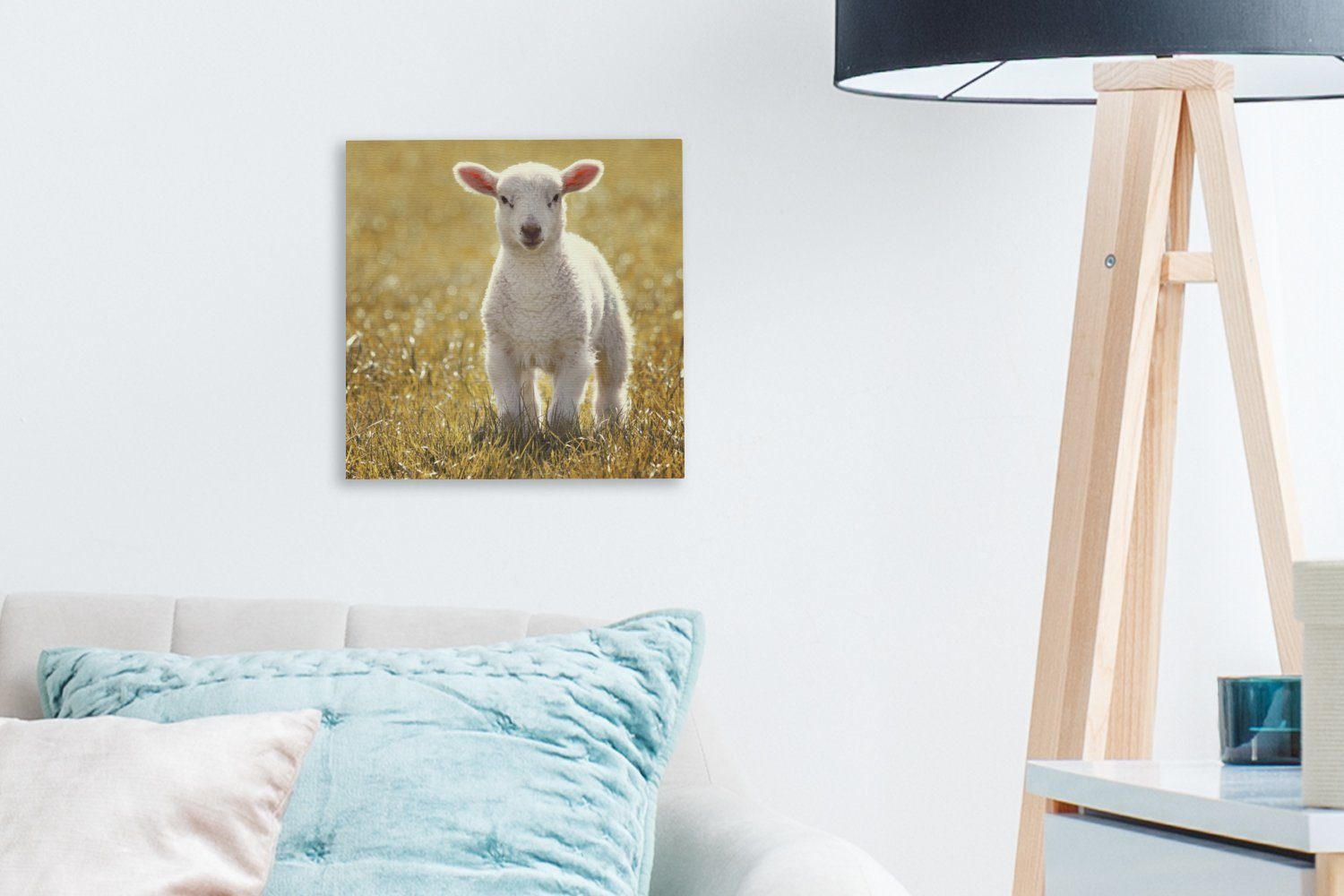 Lamm für Schlafzimmer OneMillionCanvasses® Wohnzimmer - Bilder St), (1 Gras Leinwand Sonne, bunt - Leinwandbild