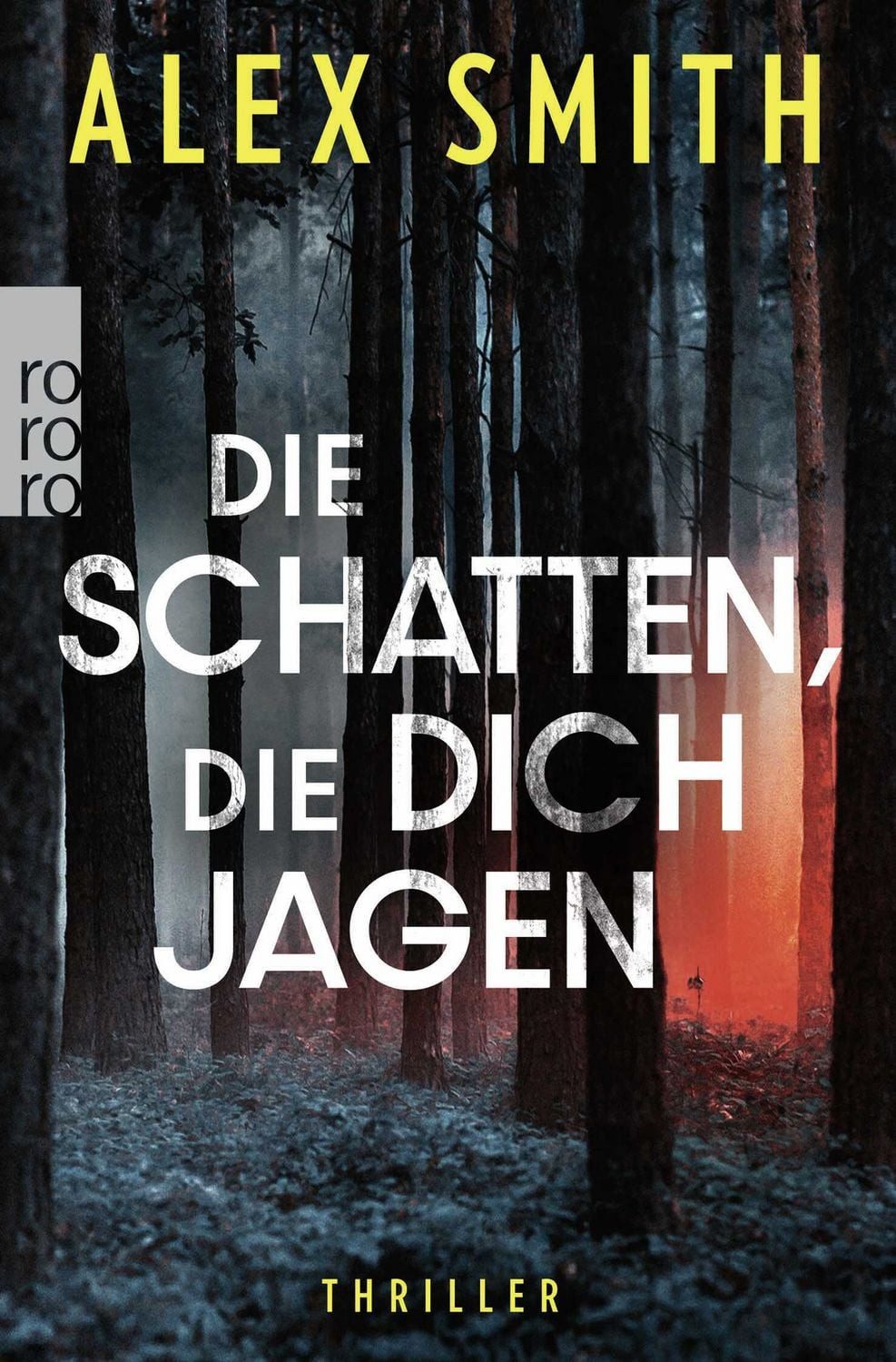 Belletristik Die Schatten, die dich jagen Alex Smith