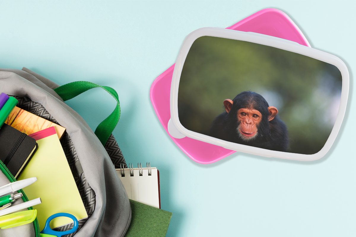 Schimpansen-Affe Kinder, Snackbox, Mädchen, für Erwachsene, Brotbox MuchoWow Brotdose (2-tlg), Lunchbox Hintergrund, vor Kunststoff verblasstem rosa Kunststoff,