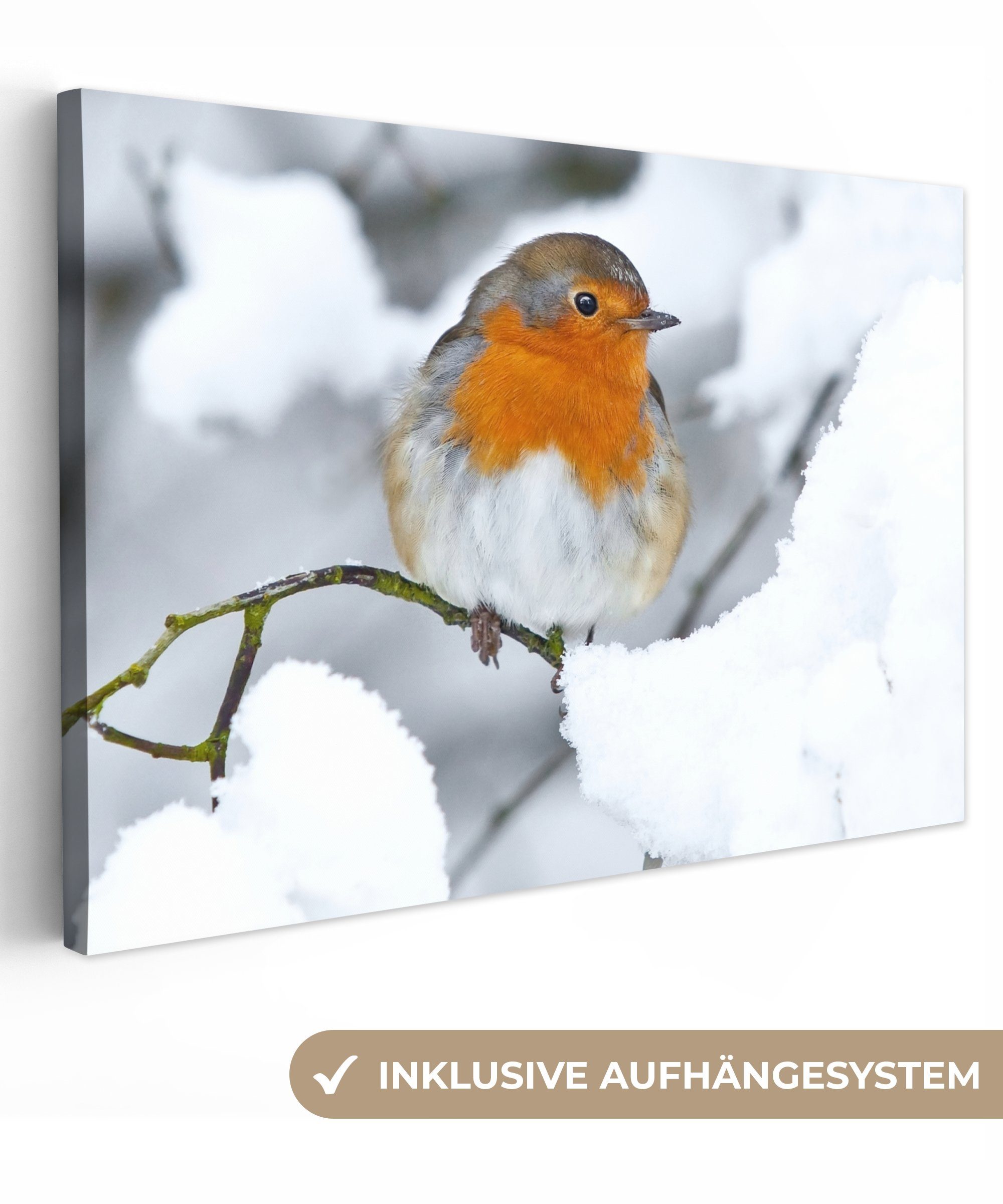 OneMillionCanvasses® Leinwandbild Rotkehlchen - Schnee - Winter, Fotodruck günstig online kaufen