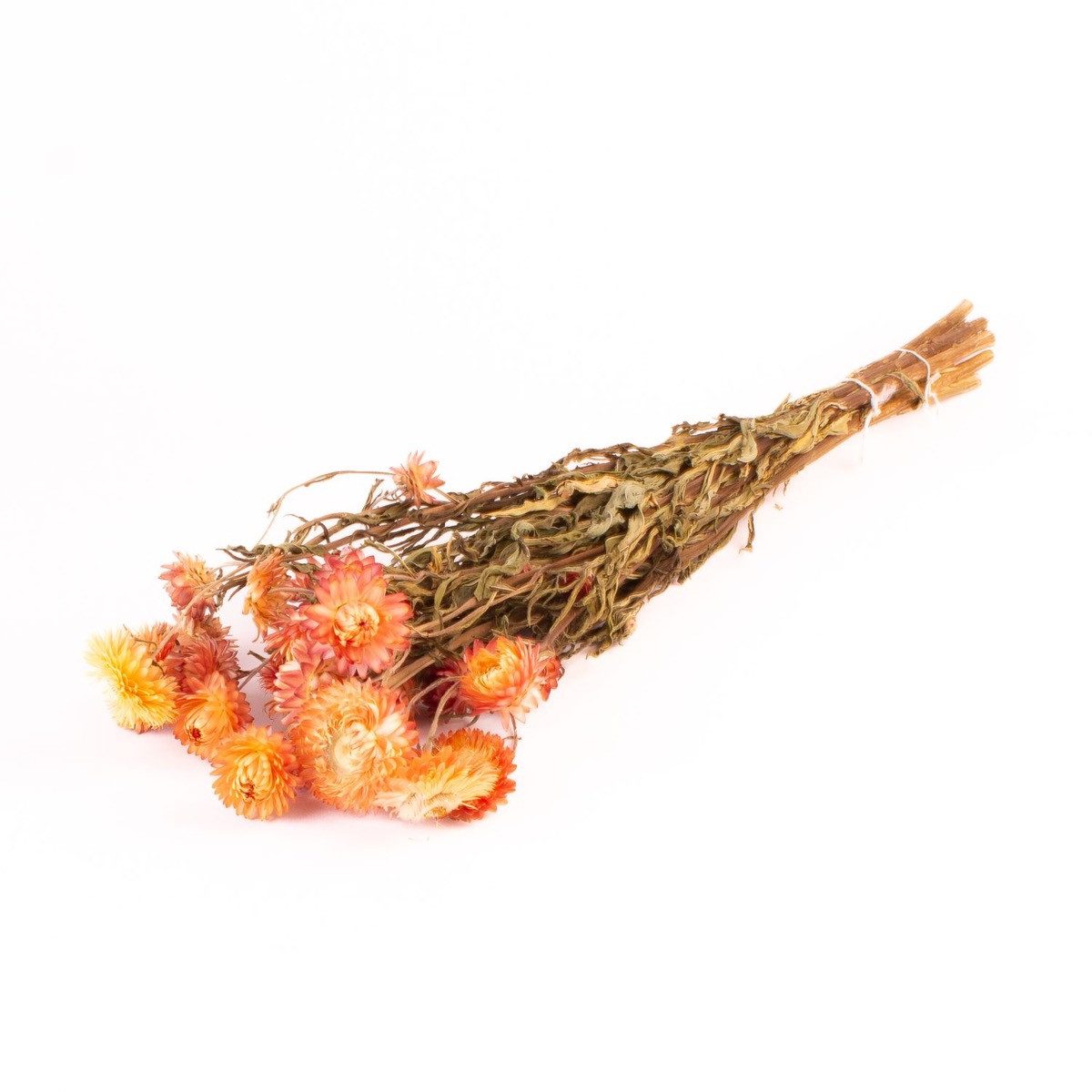 Trockenblume Strohblumen Trockenstrauß ALMINKA, getrocknet, gelb-orange, 5, INNA-Glas, Höhe 60.0 cm