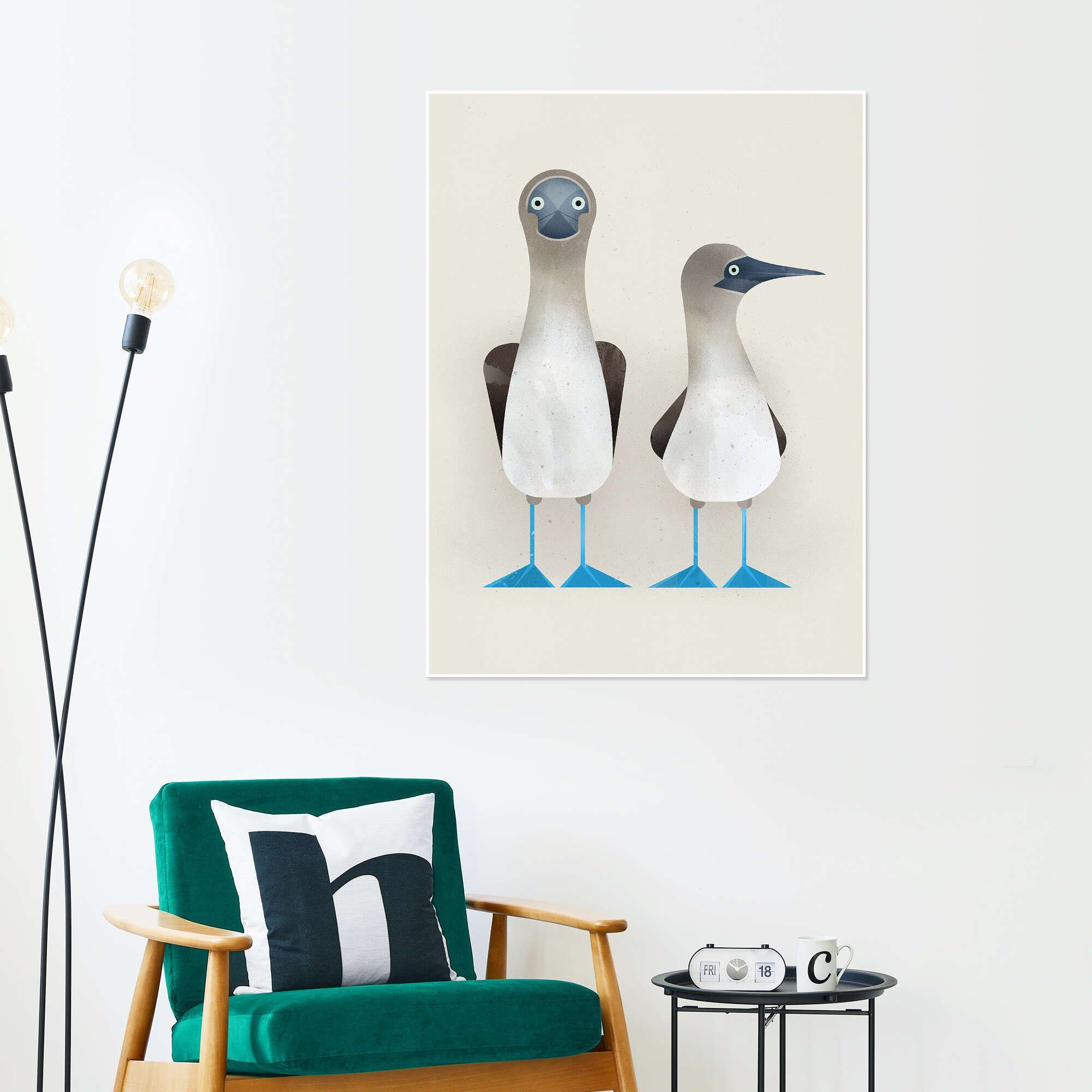 Posterlounge Wandbild Blaufußtölpel, Dieter Braun, erhältlich als Poster, Leinwandbild, Wandsticker oder Acrylglasbild