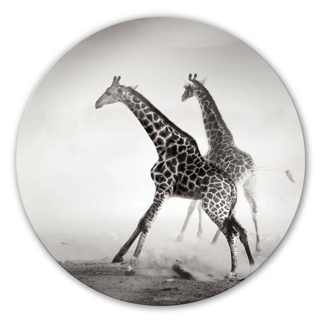 Art Wandbild Wandschutz Deko Afrika Bilder Rund Tiere Safari Gemälde Giraffen Glasbild Natur, Glas K&L Wall