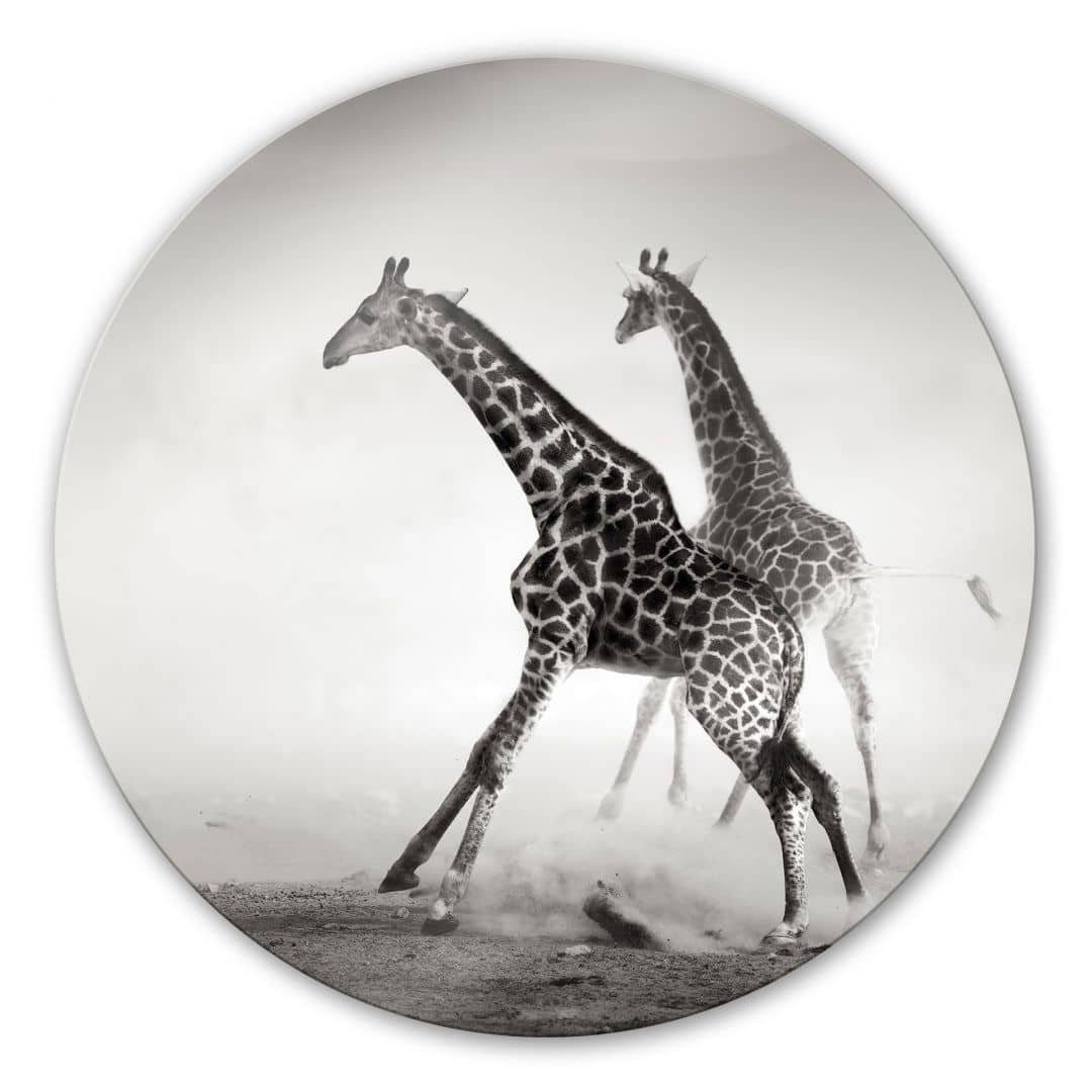 K&L Wall Art Gemälde Glas Wandbild Rund Glasbild Giraffen Safari Tiere Afrika Natur, Wandschutz Deko Bilder