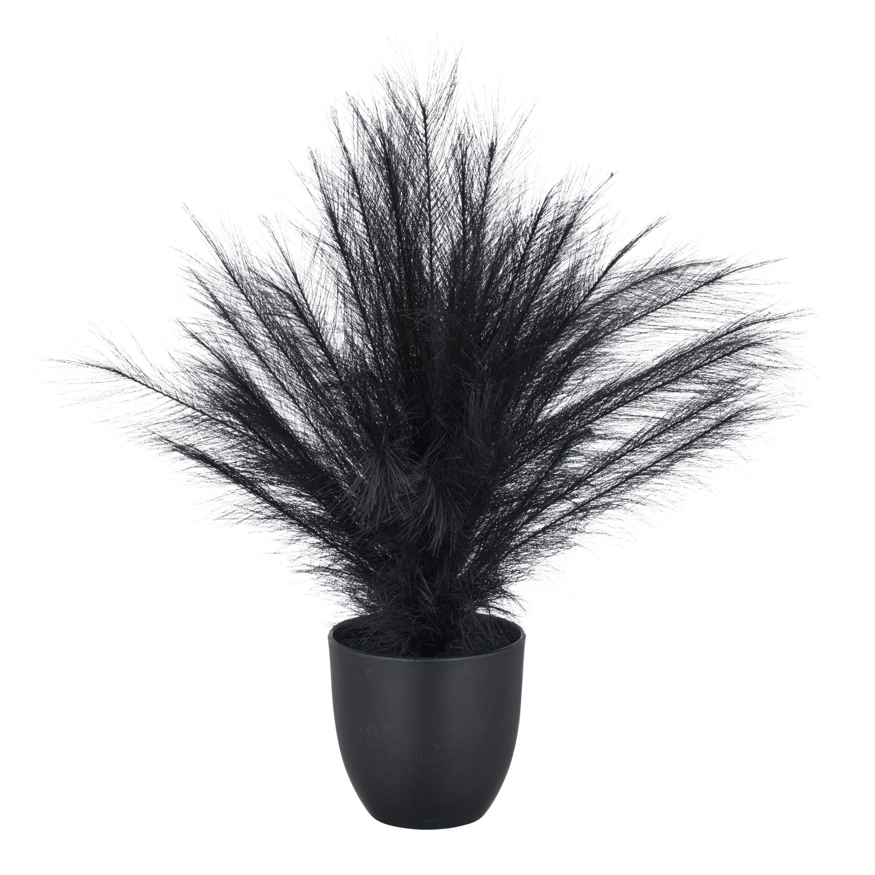 Kunstgras Pampasgras, Creativ green, Höhe 63 cm, in außergewöhnlicher Farbe günstig online kaufen