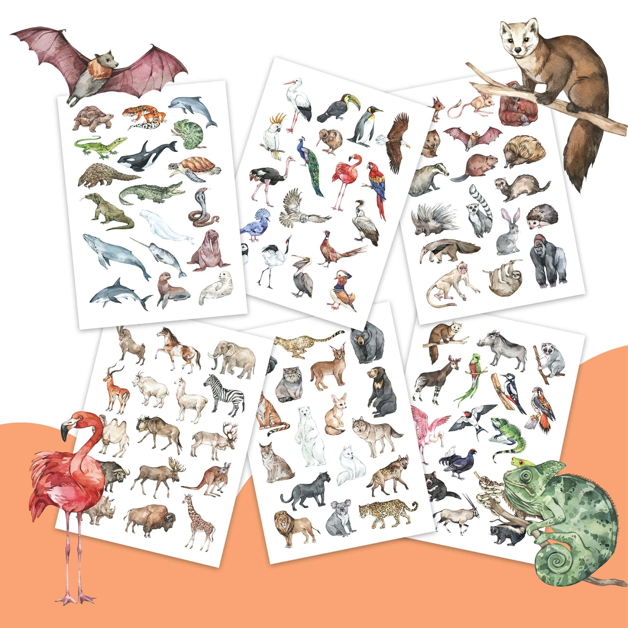 PAPIERDRACHEN Kindertattoo Papierdrachen 100 hautfreundliche Kindertattoos, 100% vegan, geprüft & made in Germany