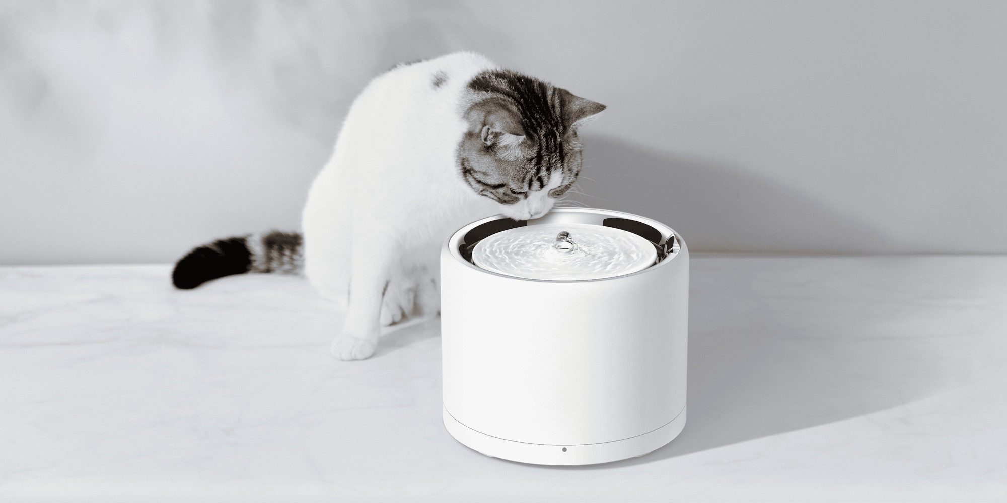 PETKIT Trinkbrunnen Petkit Eversweet 3 Pro günstig online kaufen