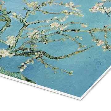 Posterlounge Forex-Bild Vincent van Gogh, Mandelblüte, Wohnzimmer Malerei